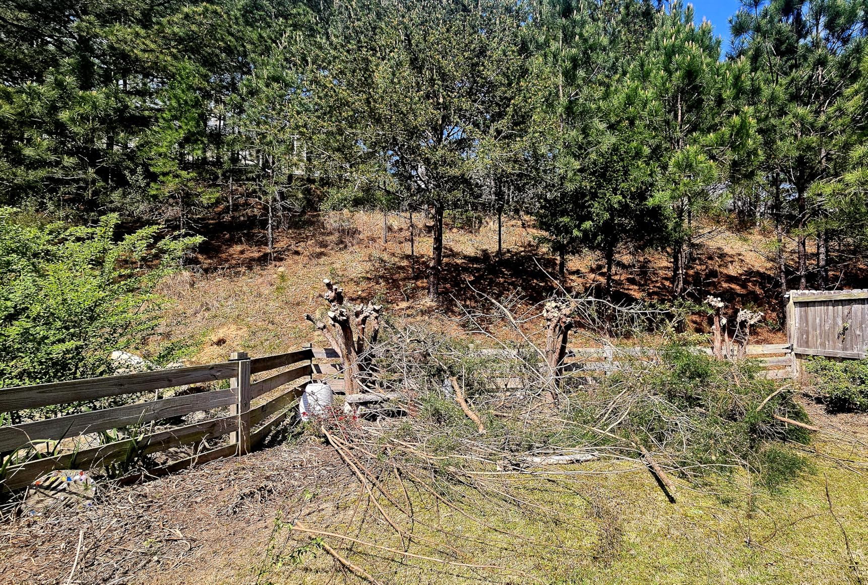 Mini Chainsaw Cordless, 6 Inch Electric Chainsaw with 2 Battery, Handheld Battery Powered Chain Saw with Auto Oiler, Garden Tools Saw for Wood Cutting Tree Cutter customer photo 1