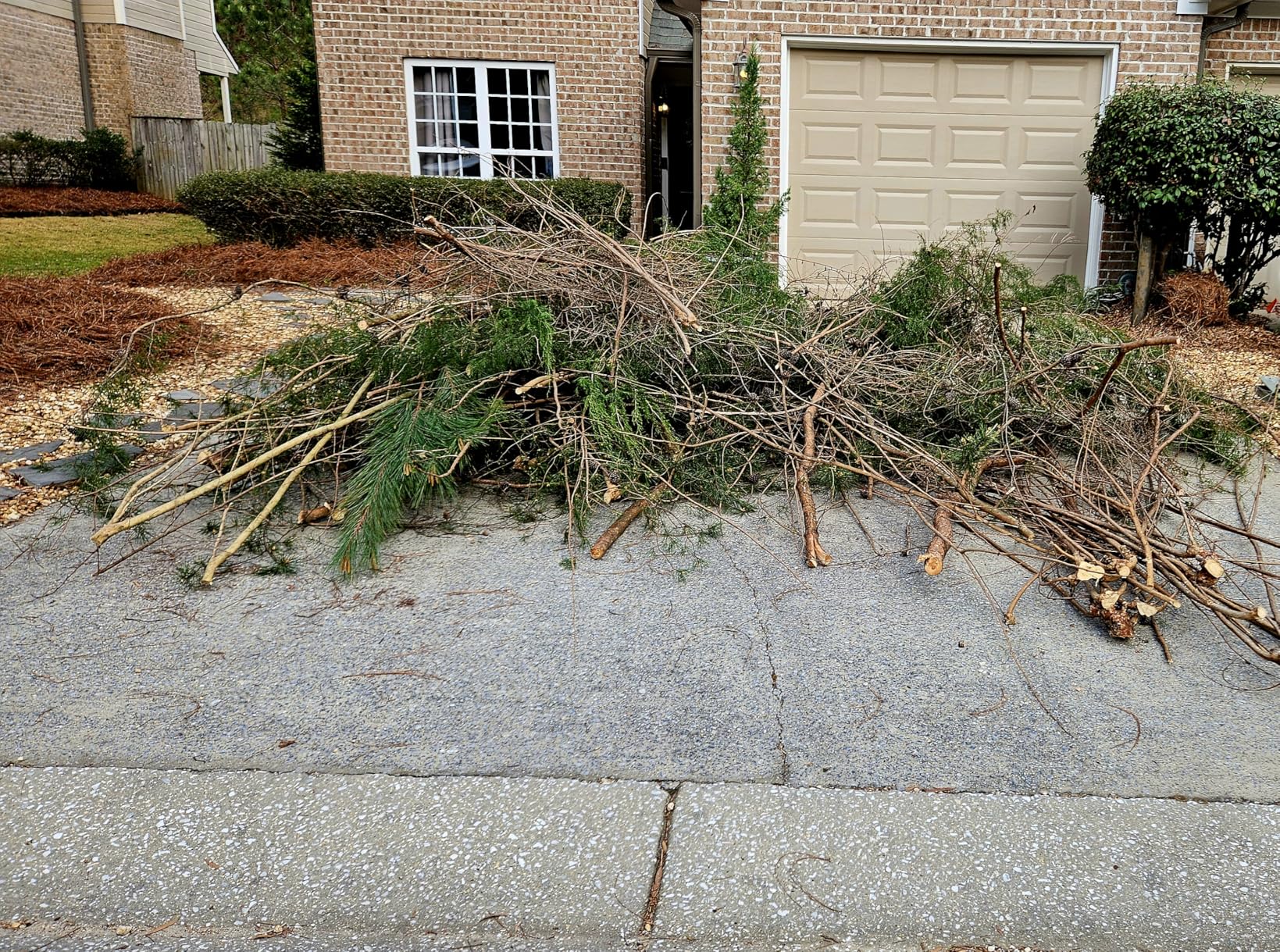 Mini Chainsaw Cordless, 6 Inch Electric Chainsaw with 2 Battery, Handheld Battery Powered Chain Saw with Auto Oiler, Garden Tools Saw for Wood Cutting Tree Cutter customer photo 2