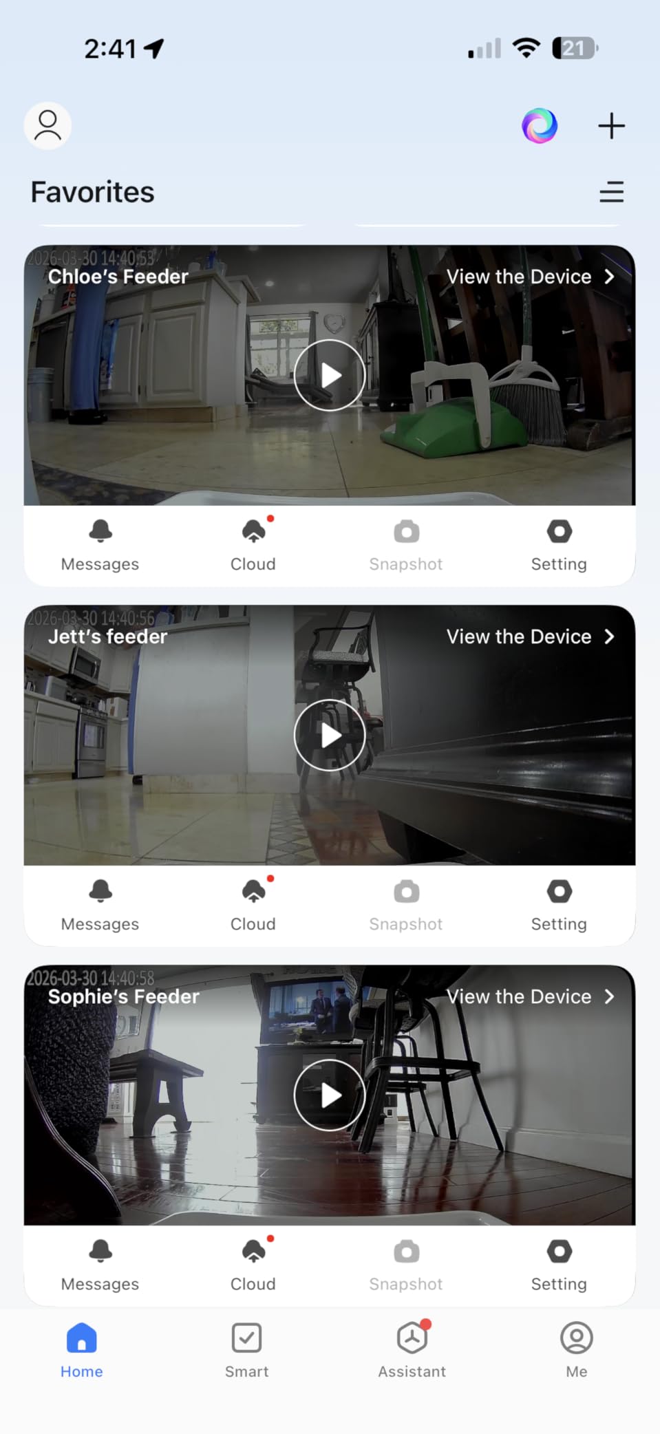 Automatic Dog Feeder Large Breed: 12L/50 Cups with HD 1080P Camera - 5G WiFi Anti-Clog Timed Dog Feeder for Golden Retriever Busy Owners by UTCG customer photo 2