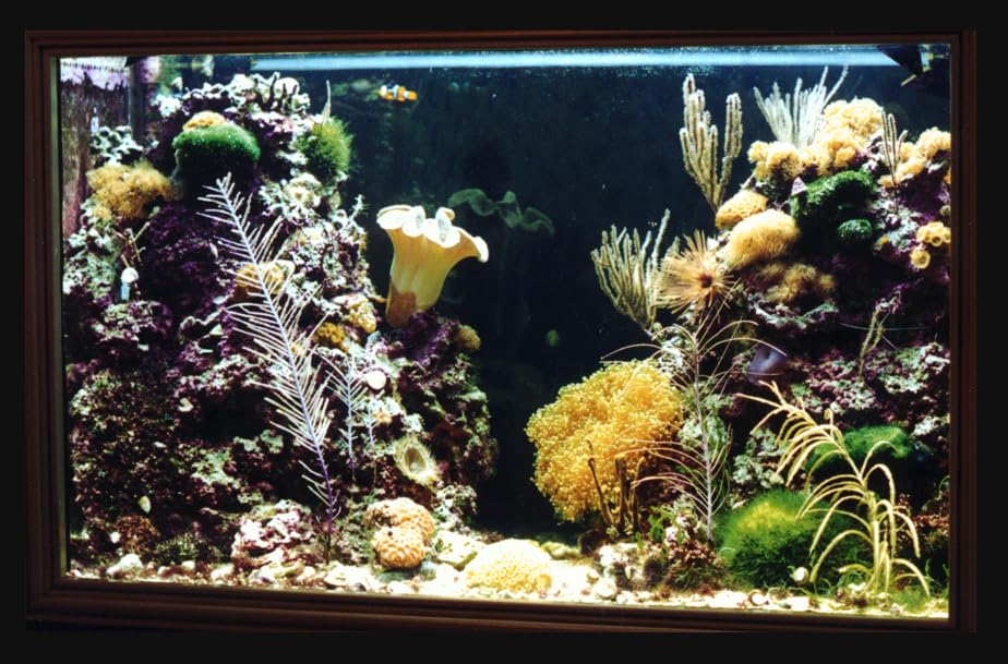 DREO Reverse Osmosis Water Filter Countertop, 7-Stage RO Water Filtration System, Installation-Free, Reduce TDS, Water Filter Pitcher for Home, Kitchen, 3:1 Pure to Drain, WF511 Upgraded customer photo 2