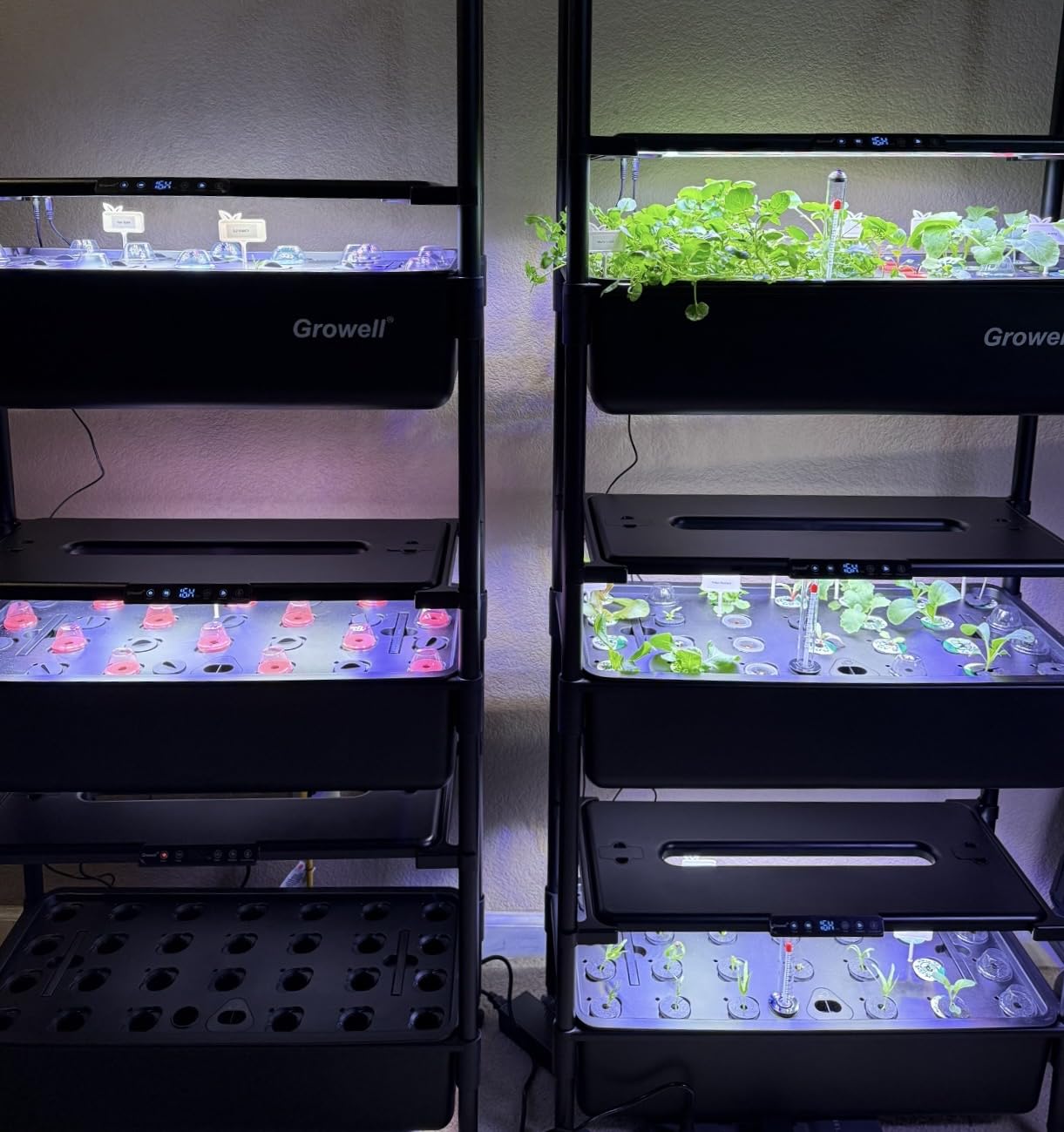 Large Hydroponics Growing System Kit, Vertical Indoor Herb Garden Kit with LED Grow Light & Independent Water Pump, 28L Movable Indoor Planter Perfect Gardening Gifts (2 Tier-54 Pods Black) customer photo 1