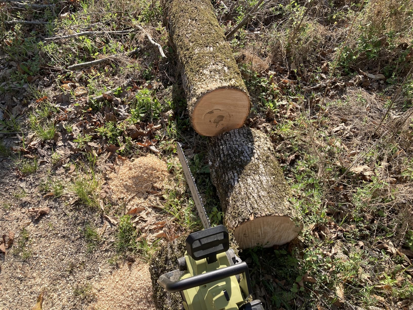 SEYVUM Cordless 40V 16 Inch Chainsaw with 2 x 4.0Ah Batteries, Electric Chain Saw with Tool-free Chain Tension, Auto Oiling, Heavy-Duty for Tree Felling, Firewood Cutting customer photo 1