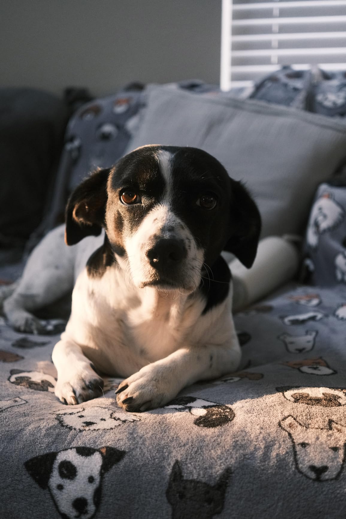 FUJIFILM X-T30 III Mirrorless Camera Body, Charcoal Silver customer photo 2