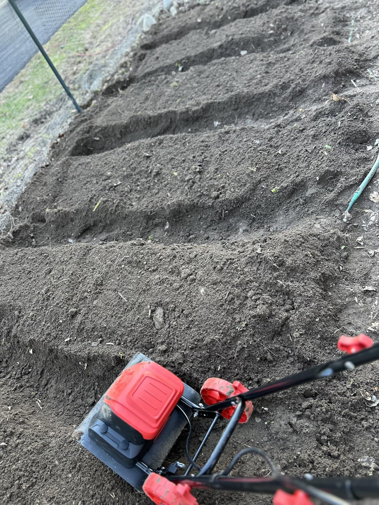 MZK 12-Inch 10.5 Amp Corded Electric Tiller/Cultivator for Gardening, 8-inch tilling Depth, Powerful and Lightweight Tiller, Electric Garden Rototiller for Lawn/Yard/Garden Soil Digging,TC12A03 customer photo 1