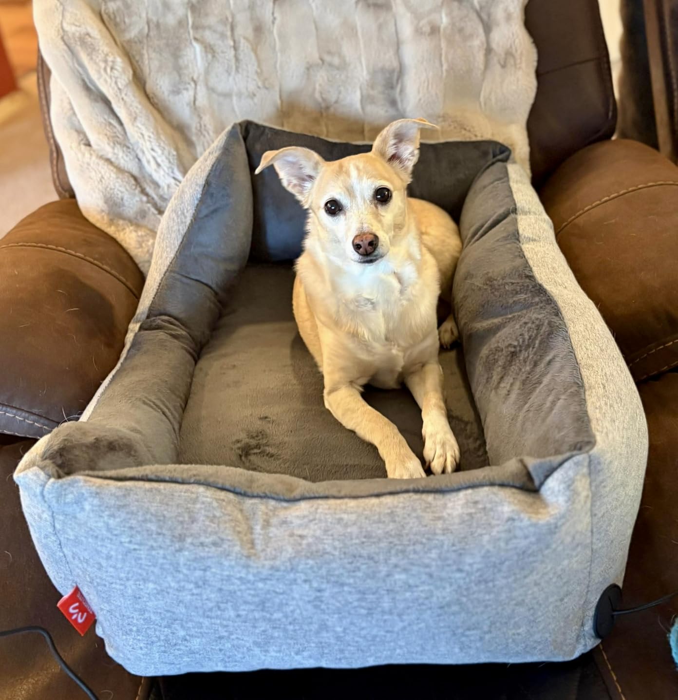 Heated Dog Bed with Auto Sensing Heated pad, 3-Temperature Settings & Chew-Resistant Cord - 33x25 Inch Luxury Sofa-Style Heated Pad for Large Dogs customer photo 2