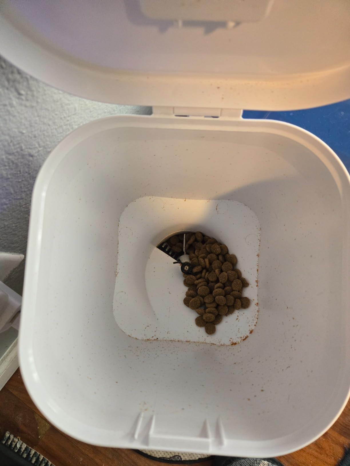 DOGNESS 9L Dog Feeders for Large Dogs, Automatic Dog Feeder with Timer Extra Large, Programmable Auto Pet Food Dispenser Feeder, Portion Control, Voice Recording, Battery and Plug-in Power (Black) customer photo 2