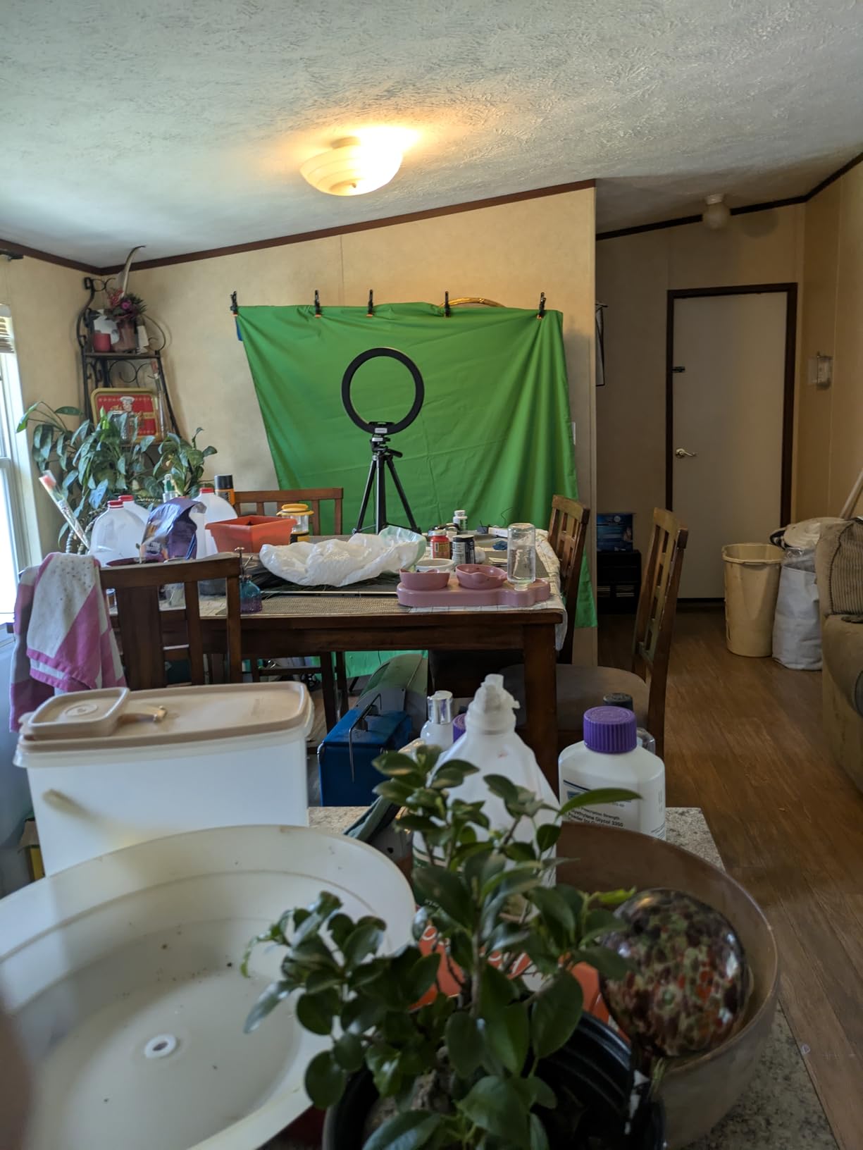 HEMMOTOP Green Screen Backdrop Kit, 8x6.8ft Wider Green Screen with Stand, Portable Chromakey Greenscreen Background with Stand, Spring Clamps, Carrying Case for Zoom, Streaming, Video customer photo 2