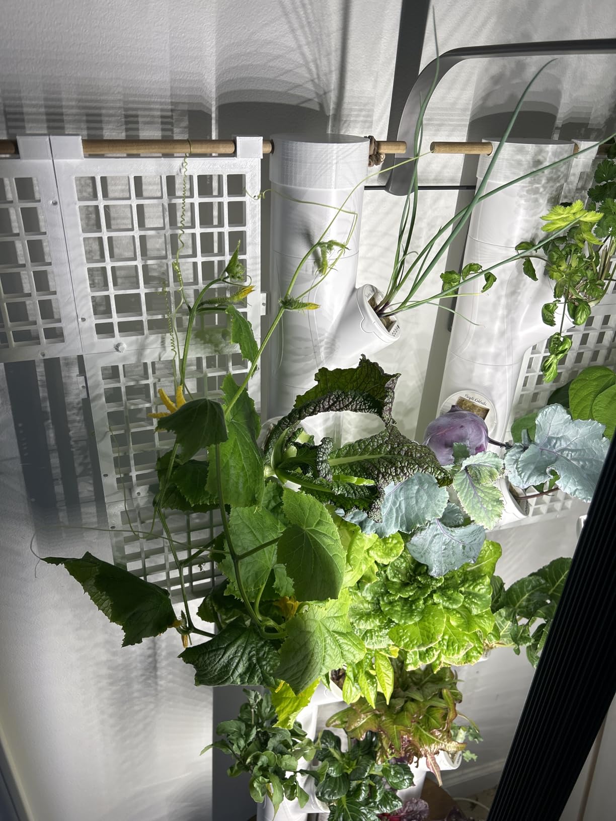 New & Improved! Gardyn Studio 2 Hydroponics Growing System - 16 Non-GMO Plants, Herbs, Vegetables - Smart Tower - Hydroponic Herb Garden Planter Indoor Kit - Indoor Gardening System w/Grow Lights customer photo 1