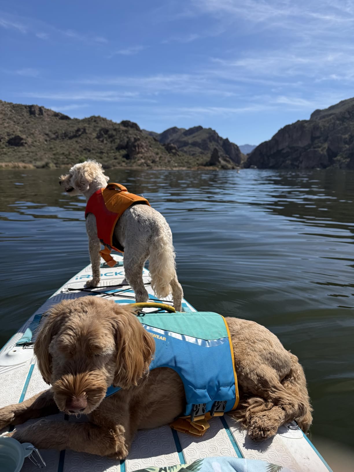 Electric Paddle Board Pump, Rechargeable 60PSI High Pressure SUP Pump, Intelligent Dual Stage Inflation & Deflation, Auto-Off for Stand Up Paddle Boards, Surfing Kite, Tent, Boat customer photo 1