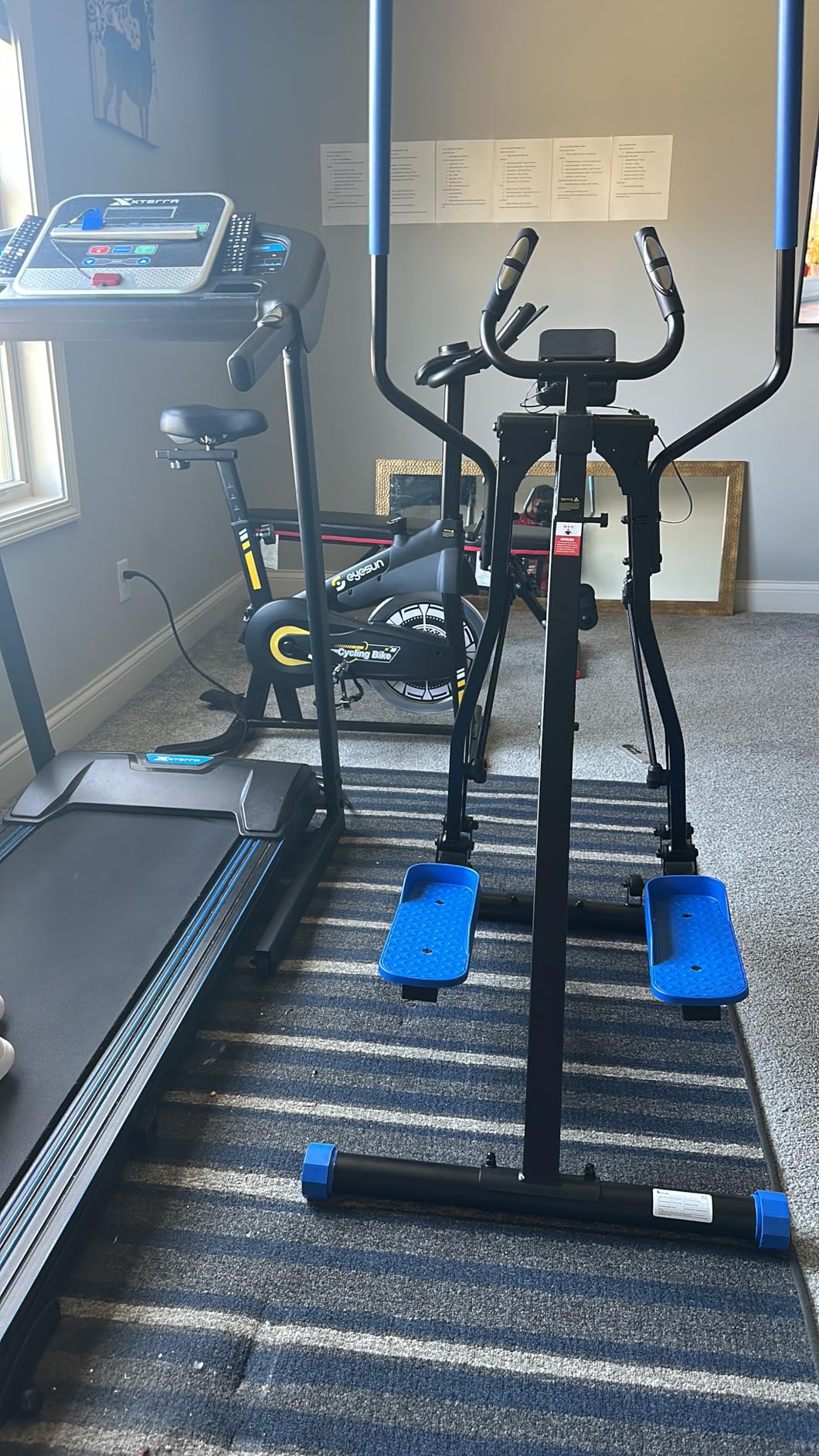 OWLSKY Air Walk Elliptical Exercise Machine for Home Gym - Full-Body Cardio Cross Trainer Glide Exercise with LCD Monitor, Device Holder, Low-Impact Workout, Full Body Fitness Equipment 400LBS customer photo 1