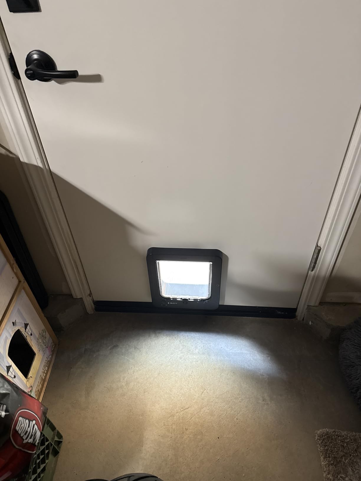Smart Cat Door for Interior & Exterior, RFID Cat Pet Door with 3 RFID Collar Sensor Keys & 1 Remote & 4 Way Locking Cat Flap (Black) customer photo 1