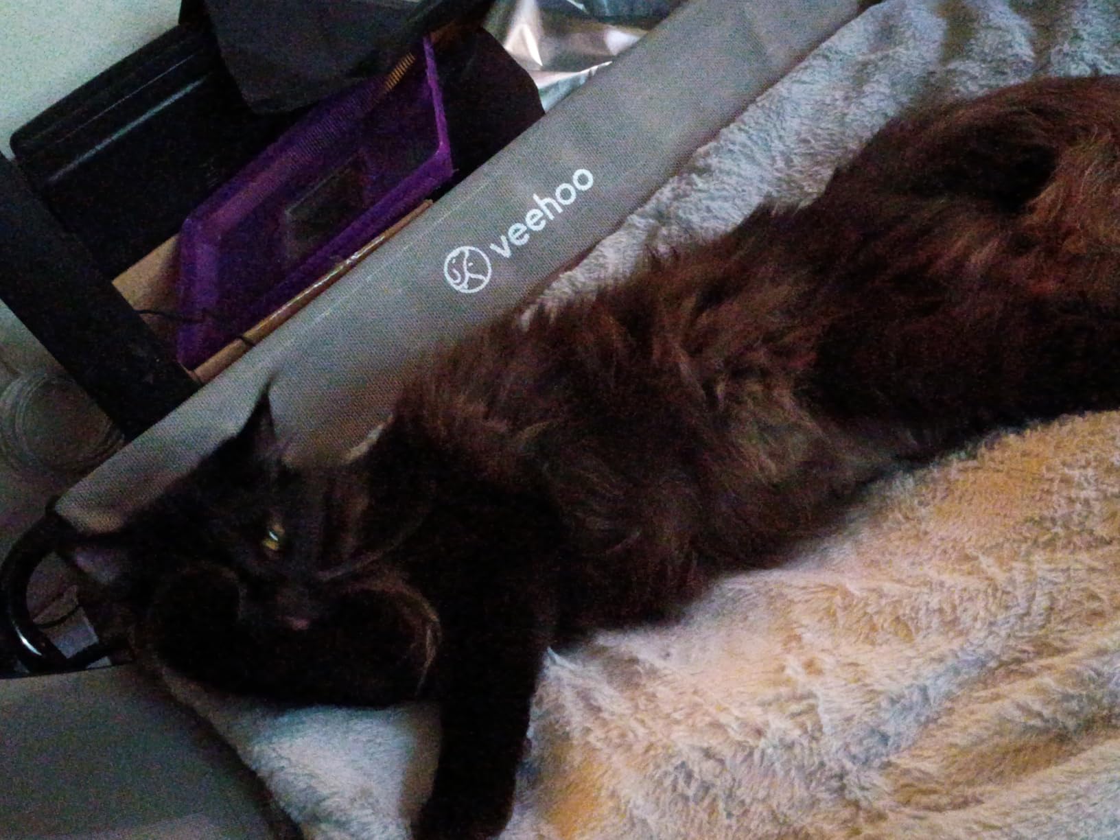 Veehoo Elevated Dog Bed with Plush Heated Mat, Raised Dog Bed with Waterproof Heating Pads for Cats & Dogs Outdoor Indoor, Heated Dog Sofa Bed with Power Line Protection Tube, 47.2 x 31.9, Grey customer photo 2