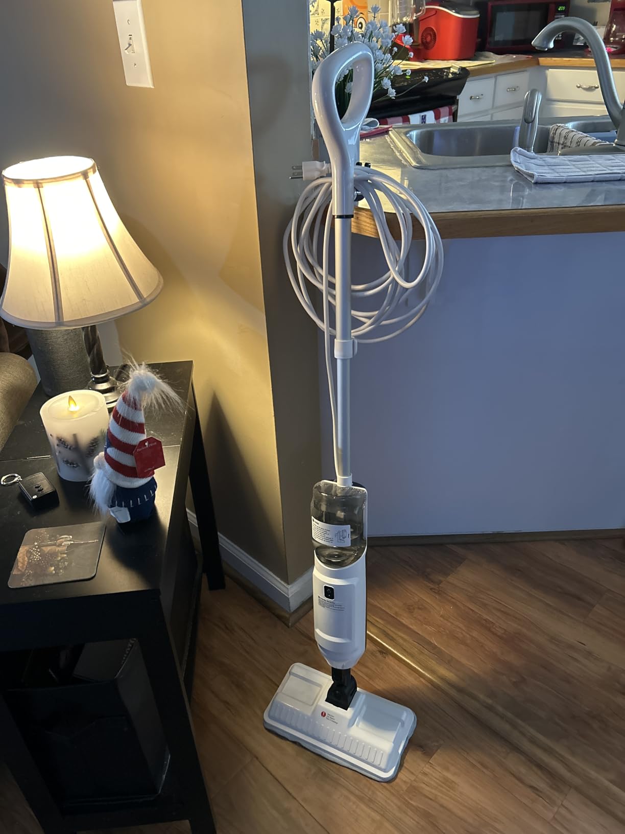 Steam Mop, Multi-Purpose Steam Cleaner for Home Steamer for Floor Cleaning, Floor Steamer Cleaner for Deep Cleaning with Handheld Steamer Mops Accessories, Pet Steam Mop Cleaner for Hardwood, Tile customer photo 2