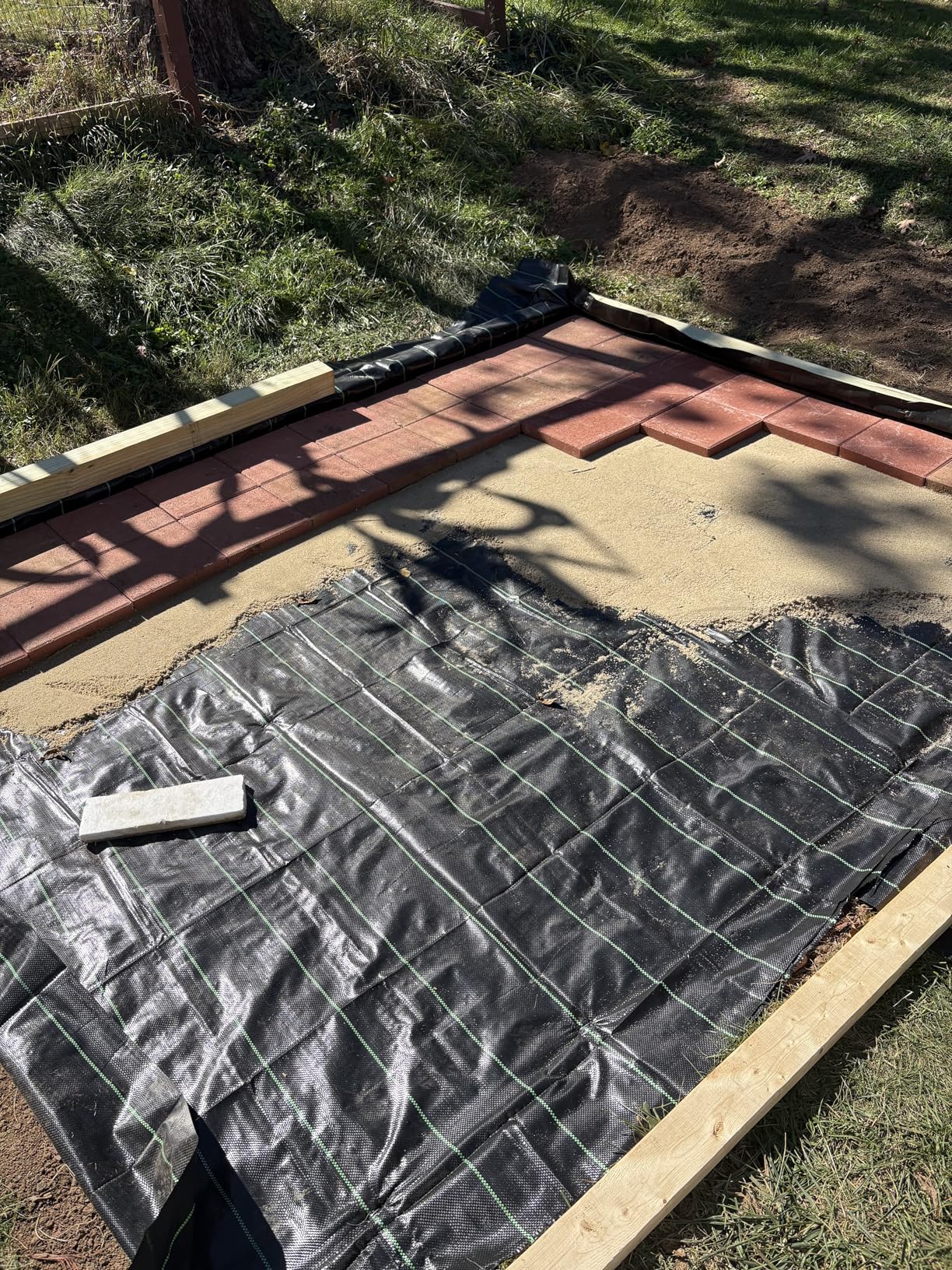 Jocisland 8x12Ft Polycarbonate Greenhouse, Heavy Duty Aluminum Frame with 2 Windows & Swing Doors, Outdoor Garden Greenhouses for Backyard, Black customer photo 2