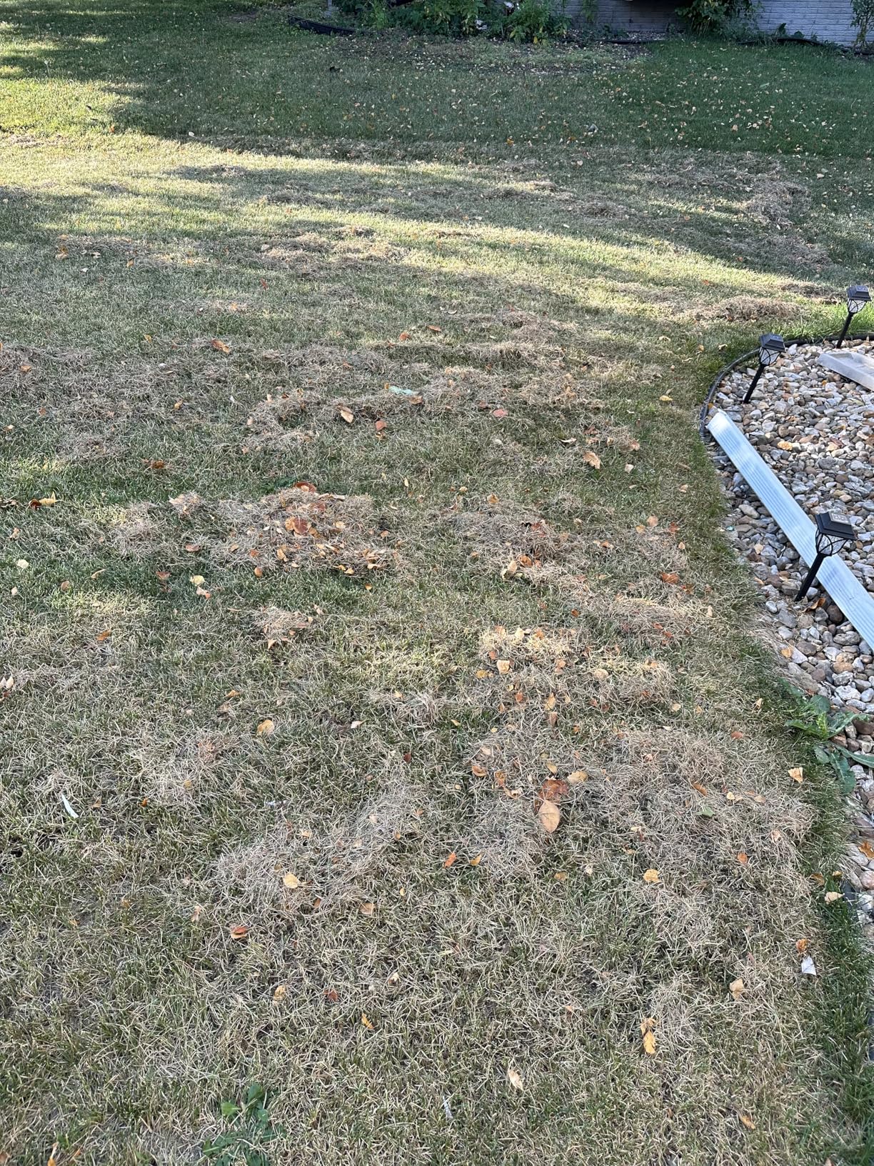 STEELITE 2 x 20V 15-Inch 2-in-1 Cordless Dethatcher and Scarifier, Brushless Electric Lawn Aerator with Collection Bag, 2 x 4.0 Ah Batteries and 2 Chargers Included customer photo 1