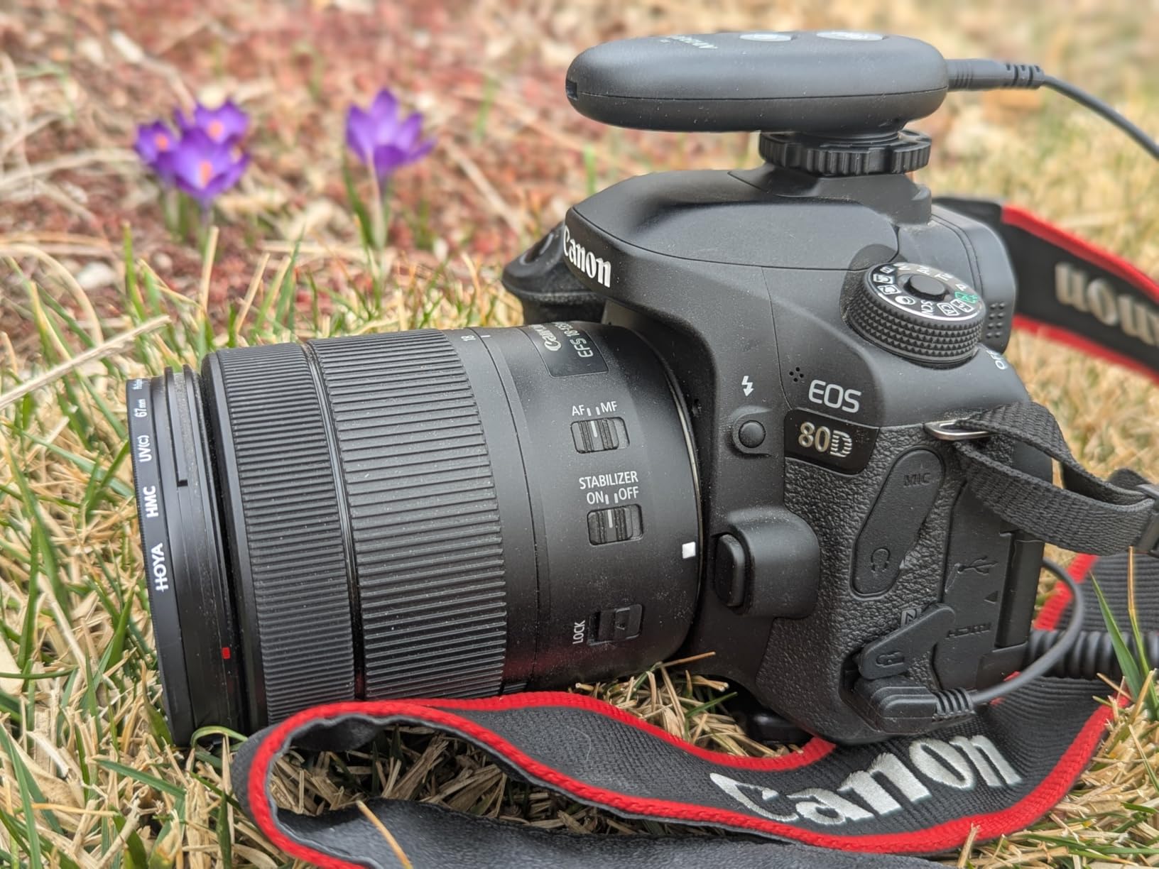 AODELAN Wireless Rechargeable Timer Shutter Release Remote Control with LCD for Canon EOS R6 Mark II, R7, R50 V, R100, RP, Rebel T7, T6, T5, T3, SL2, 5D Mark III customer photo 1