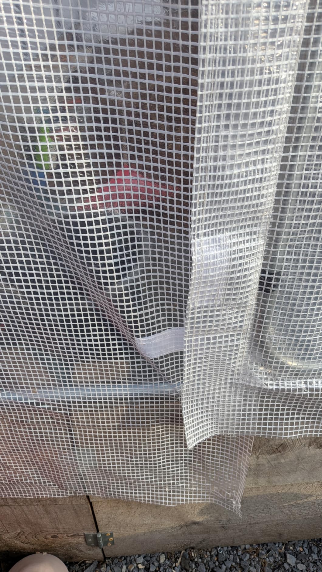 Quictent 20x10x6.6 FT Premium Greenhouse for Outdoors with 2 Door Frames, Reinforced Top Structure & Cover, Large Heavy Duty Walk-in Tunnel Hoop Green House for Garden Backyard Flower Winter, Green customer photo 1