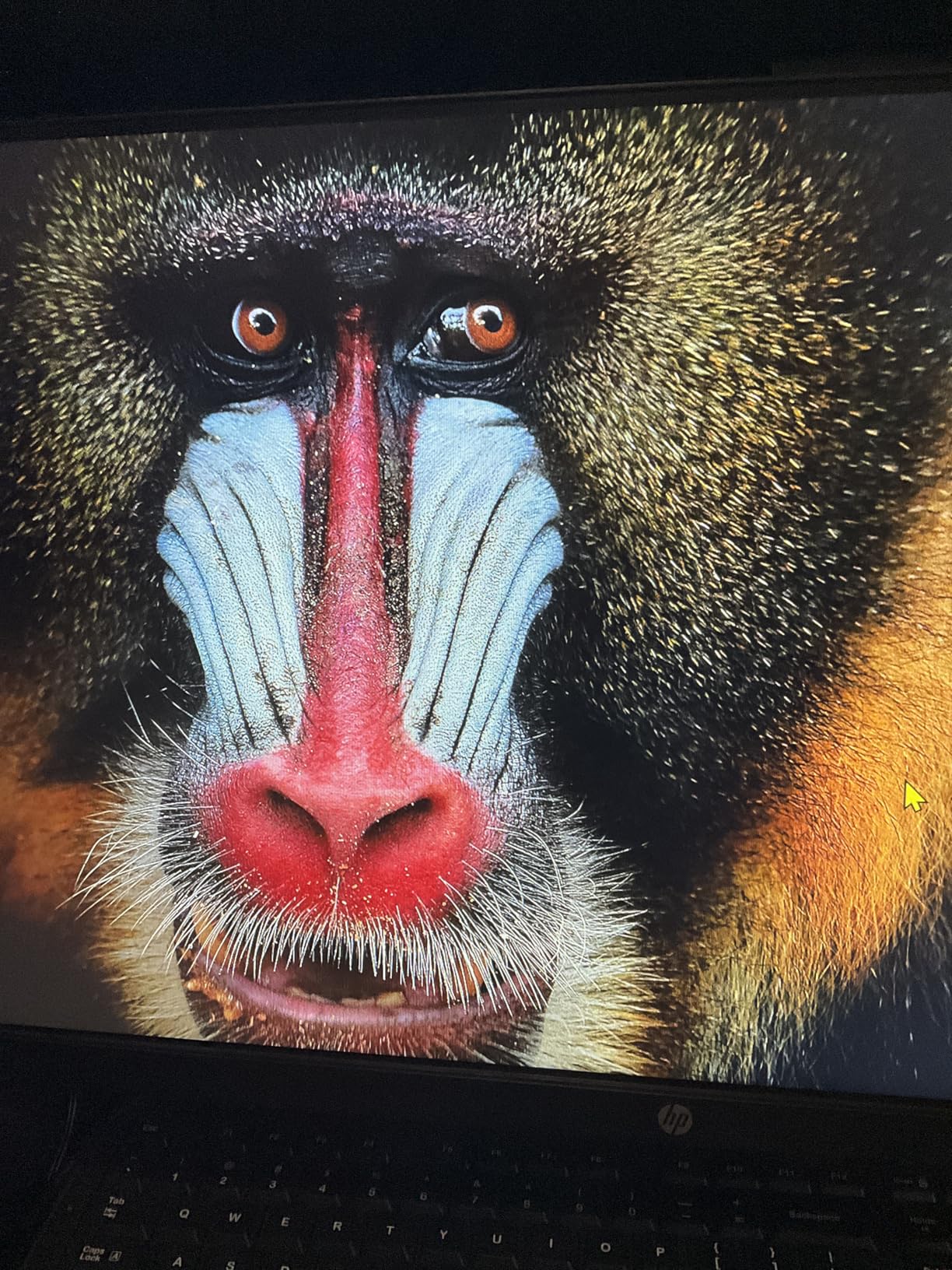 GMKtec G3 Pro Mini PC, Intel Core i3-10110U (Beats 4300U/N150) 16GB DDR4 (Dual Channel) 512GB PCIe M.2 SSD, Desktop Computer 4K Dual HDMI/USB3.2/WiFi 6/BT5.2/2.5GbE for Office, Business customer photo 2