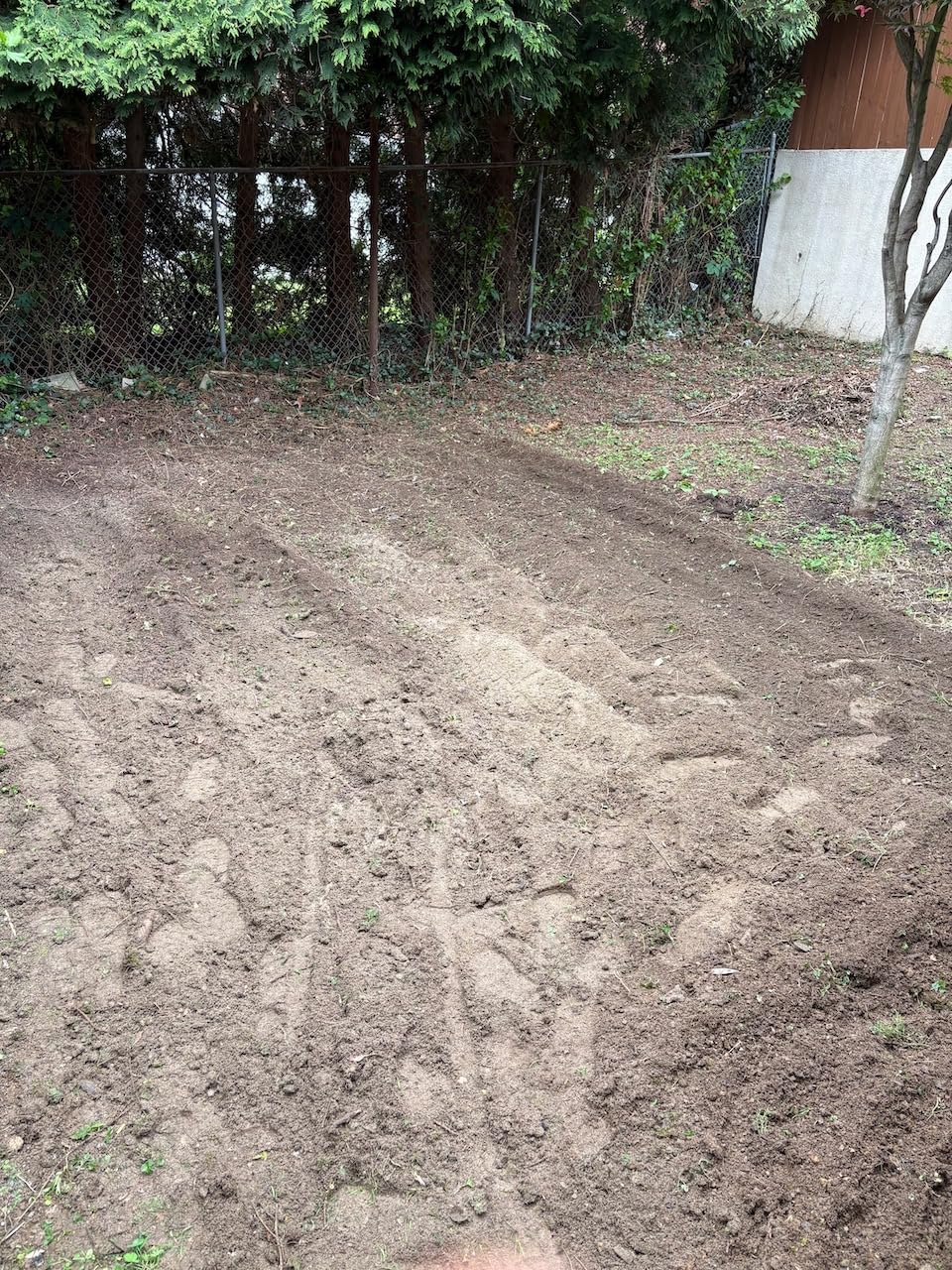 MZK 16-Inch 13.5-Amp Corded Electric Tiller/Cultivator, 8-inch tilling Depth with Adjustable Wheels, Foldable Electric Rototiller for Lawn/Yard/Garden Soil Digging,TC16A08 customer photo 2