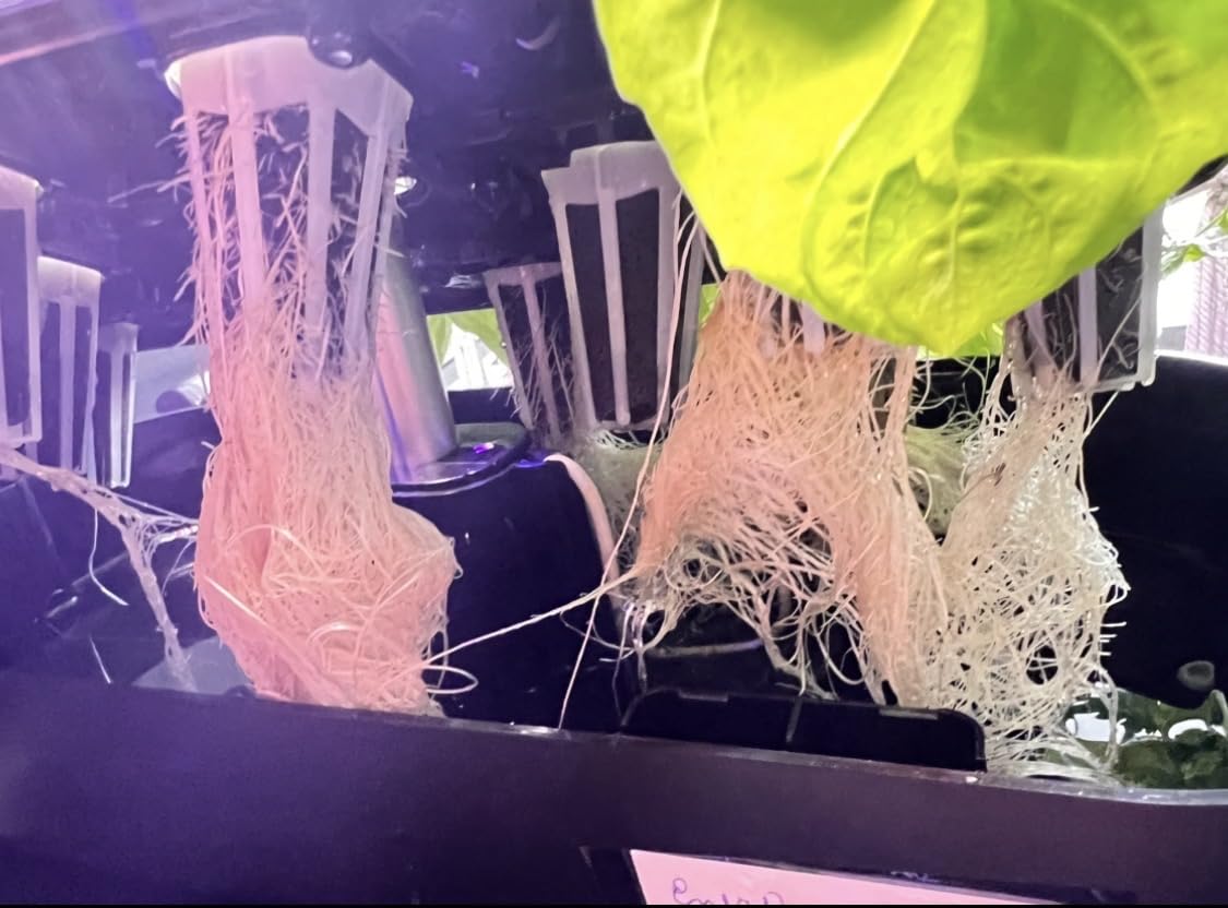 owltron Smart Hydroponics Growing System Kit, 15 Pods Indoor Herb Garden with 36W LED Grow Light & APP Control customer photo 2