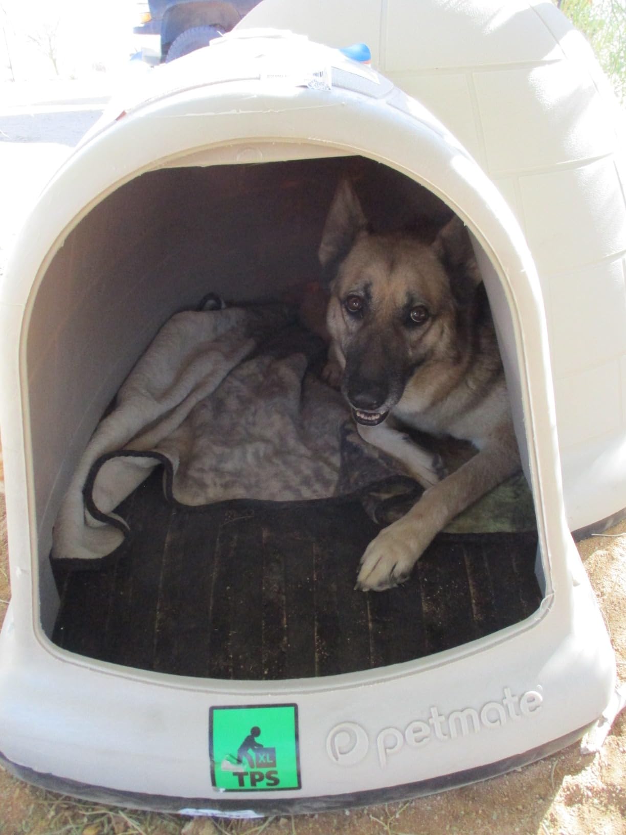 Petmate Medium Dog House Outdoor Weatherproof - Indigo Igloo Dog House, 90% Recycled, Made in USA, for Dogs 25 to 50 pounds, TAUPE/BLACK customer photo 1