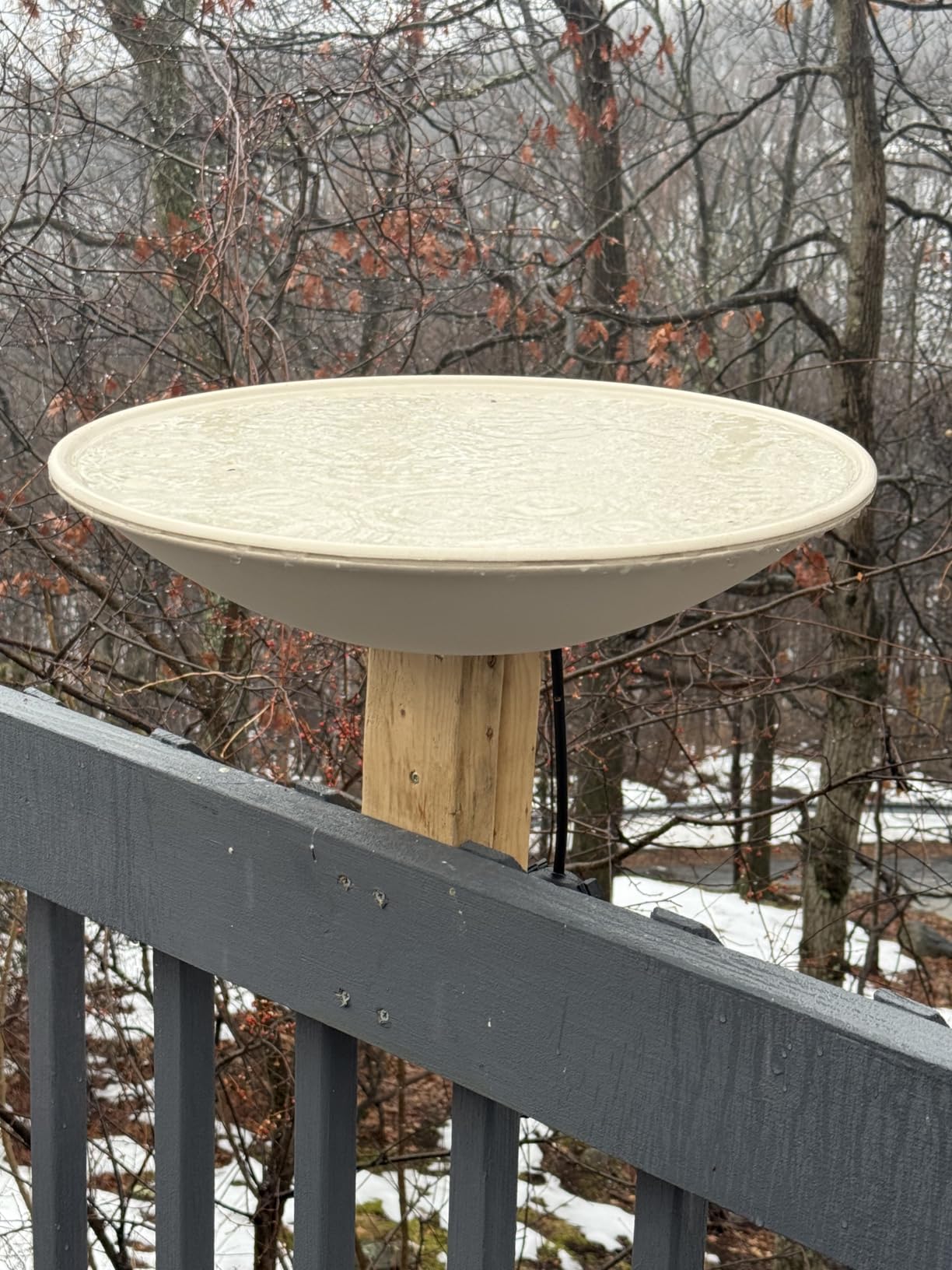 API® Heated Birdbath | Heated Bird Bath for Outdoors with Mounting Hardware customer photo 1