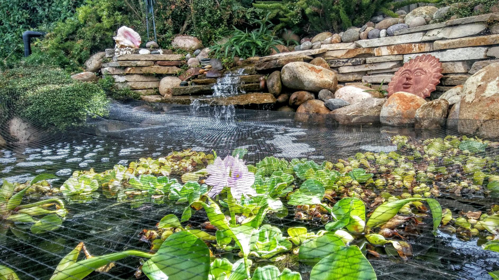 Dalen Pond & Pool Netting - Outdoor Water Garden Cover - Protective Mesh for Fish & Aquatic Life - 3/8