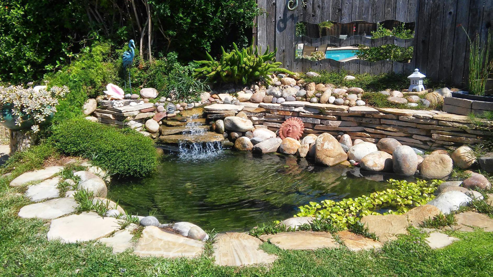 Dalen Pond & Pool Netting - Outdoor Water Garden Cover - Protective Mesh for Fish & Aquatic Life - 3/8