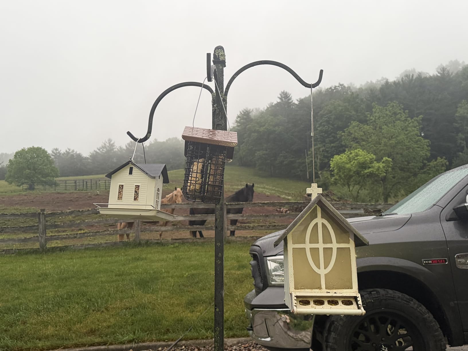 More Birds Double Suet Cake Feeder with Weather Guard, Steel Construction, Powder-Coated Black Finish, 6.75in x 5in x 7in, Brown Feeder for Woodpeckers and Wild Birds, 38070 customer photo 2