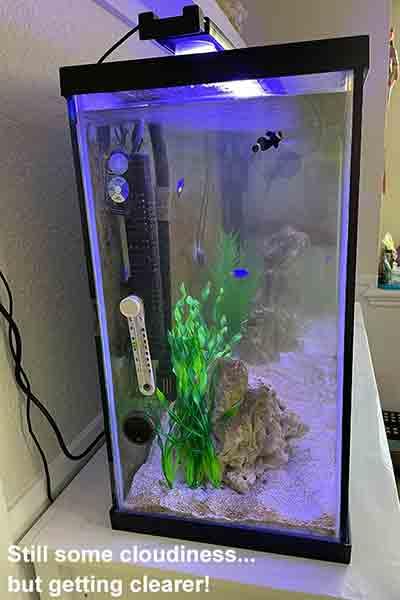 AquaUltraviolet Advantage 2000+ Inline 3/4 Barb - 15 Watt Aquarium UV Sterilizer customer photo 1