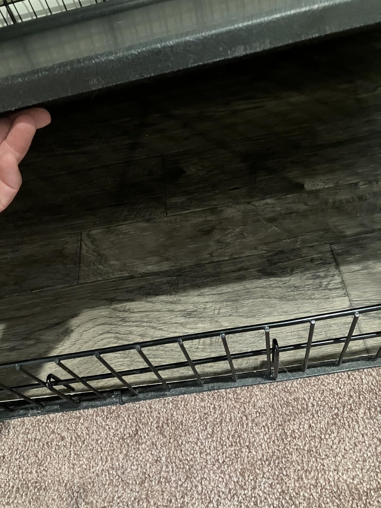 MidWest Homes for Pets 48-Inch iCrate for Extra-Large Breeds, 90-110 lbs customer photo 1