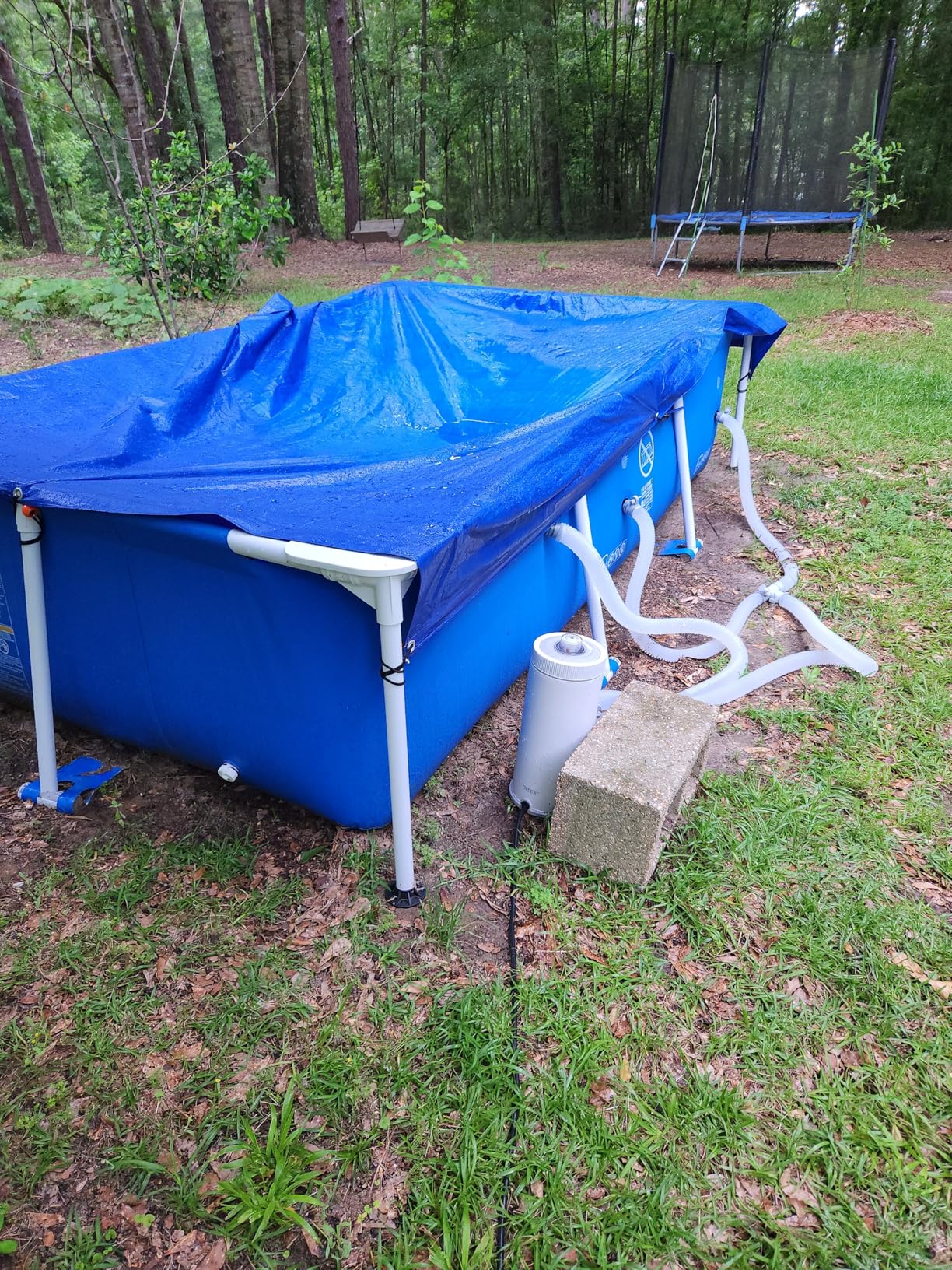 INTEX Rectangular Frame 14 ft 9 in x 7 ft 3 in x 33 in Above Ground Pool, Swimming Pool with Steel Frame, Pump Not Included customer photo 2