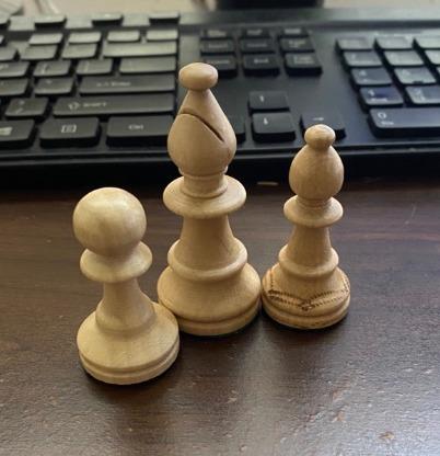 Wegiel Handmade European Professional Tournament Chess Pieces With Wood Storage Case customer photo 1