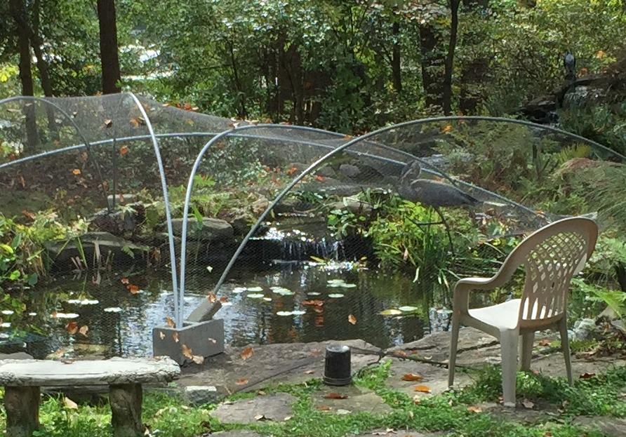 Aquascape Protective Netting for Koi Fish Ponds and Water Gardens, 7-Feet x 10-Feet | 98000 customer photo 1