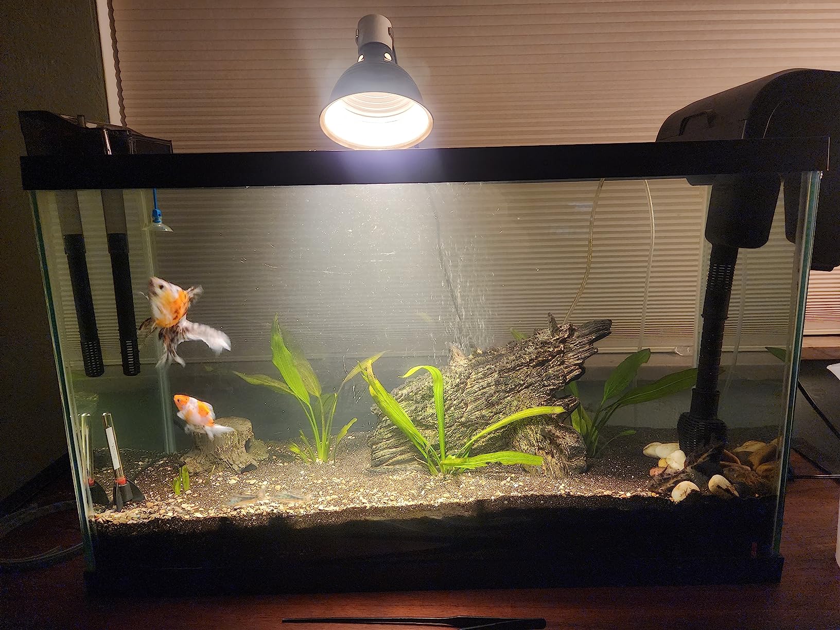 Fluval C4 Power Filter, Fish Tank Filter for Aquariums up to 70 Gal customer photo 2