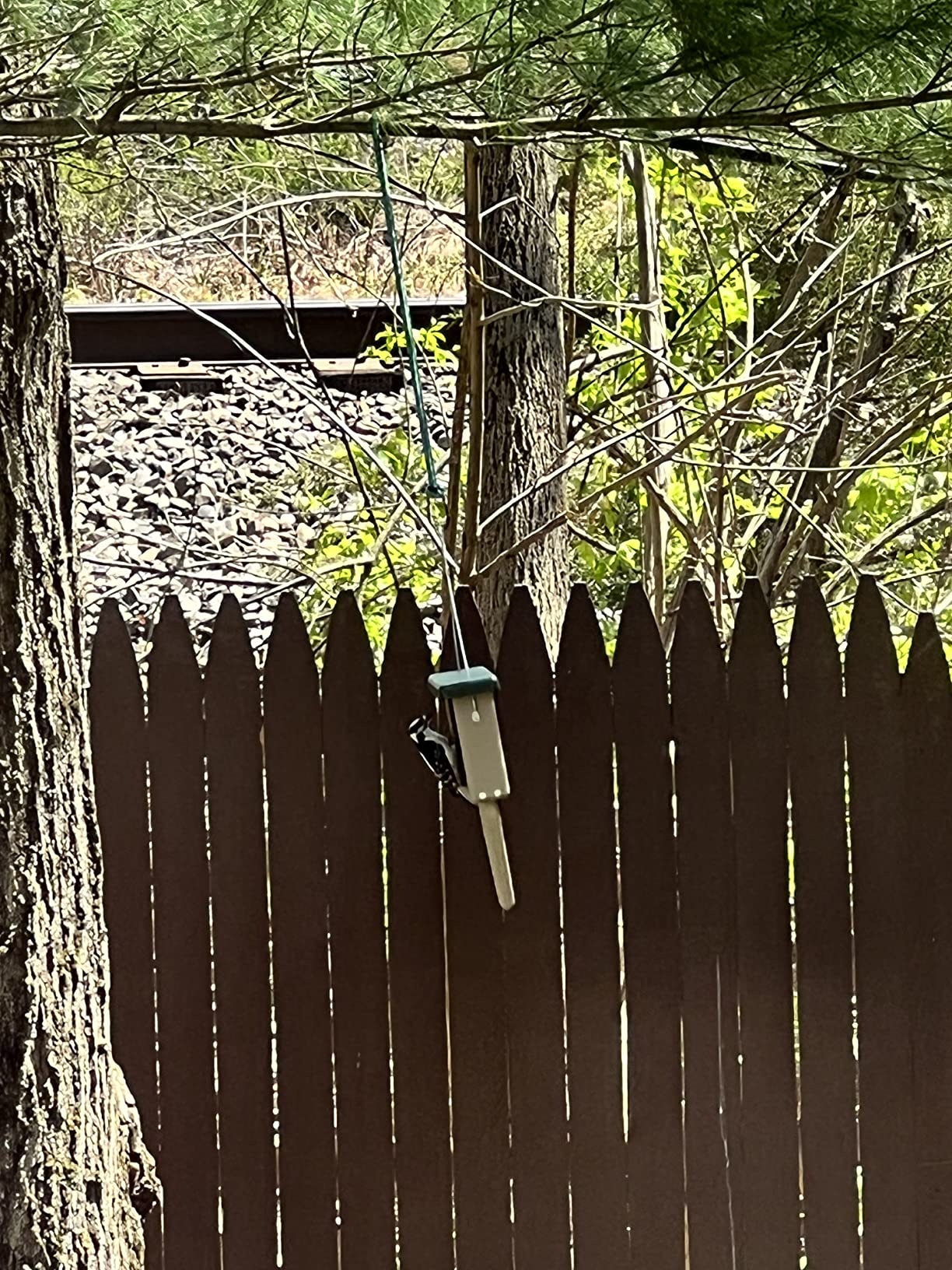 Birds Choice Suet Feeder with Tail Prop, Holds 1 Suet Cake, Hanging Suet Bird Feeder with Roof, Taupe & Brown, 8