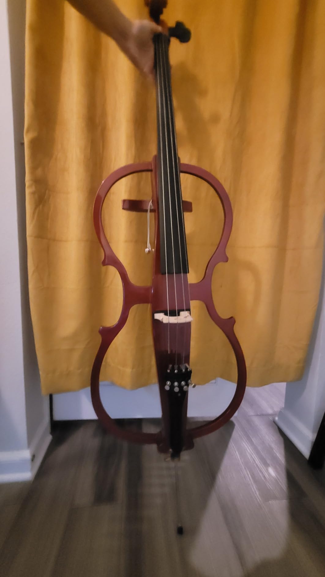 Cecilio CECO-1DW Ebony Electric Silent Metallic Mahagony Cello in Style 1, Size 4/4 (Full Size) customer photo 1
