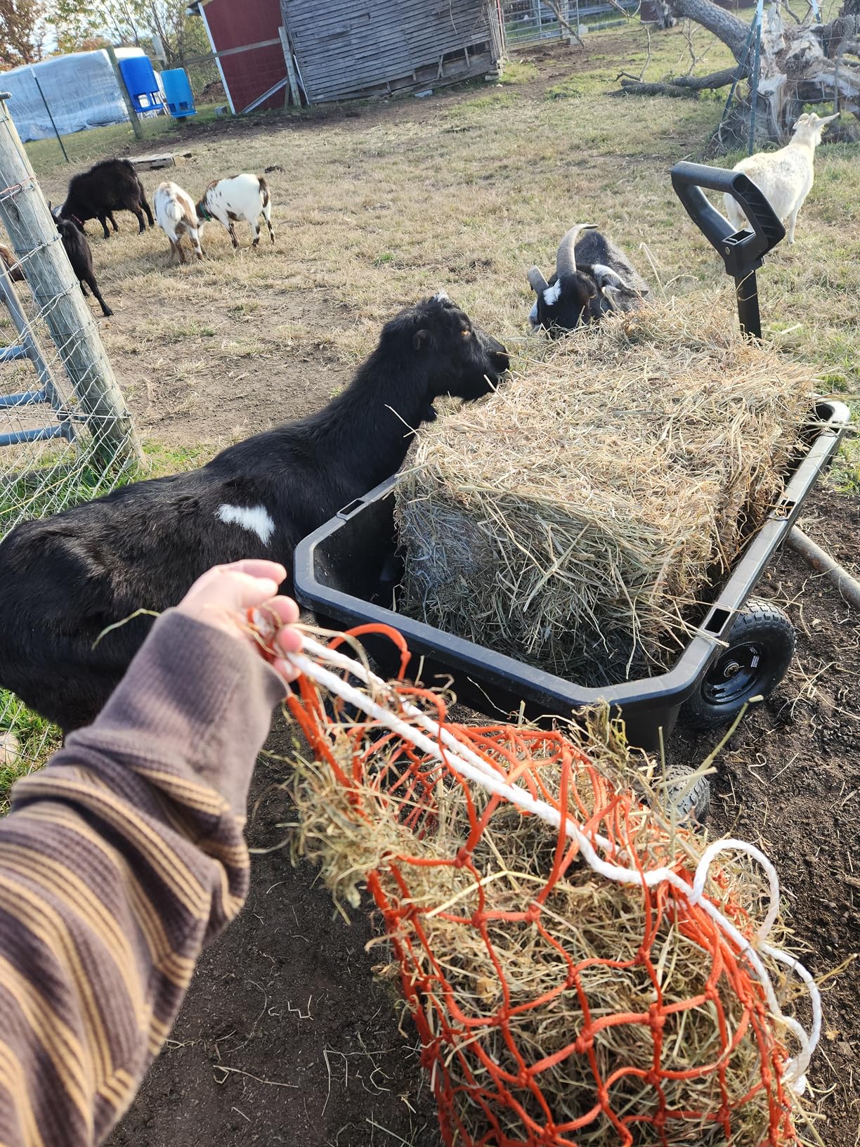 Tough 1 Slow Feed Nylon Hay Net customer photo 2