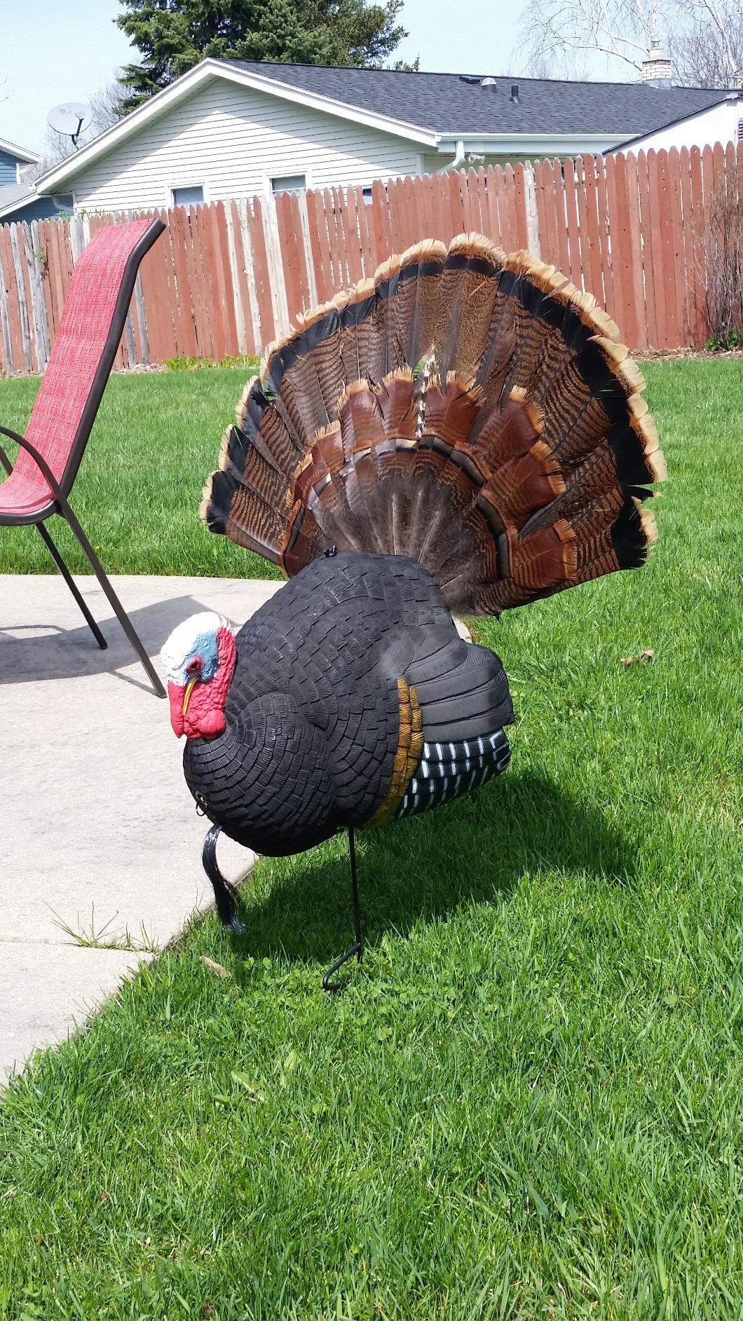 Primos Hunting Killer B Full Strut Turkey Decoy - Moveable Fan, 90 ft Pull Rope customer photo 1