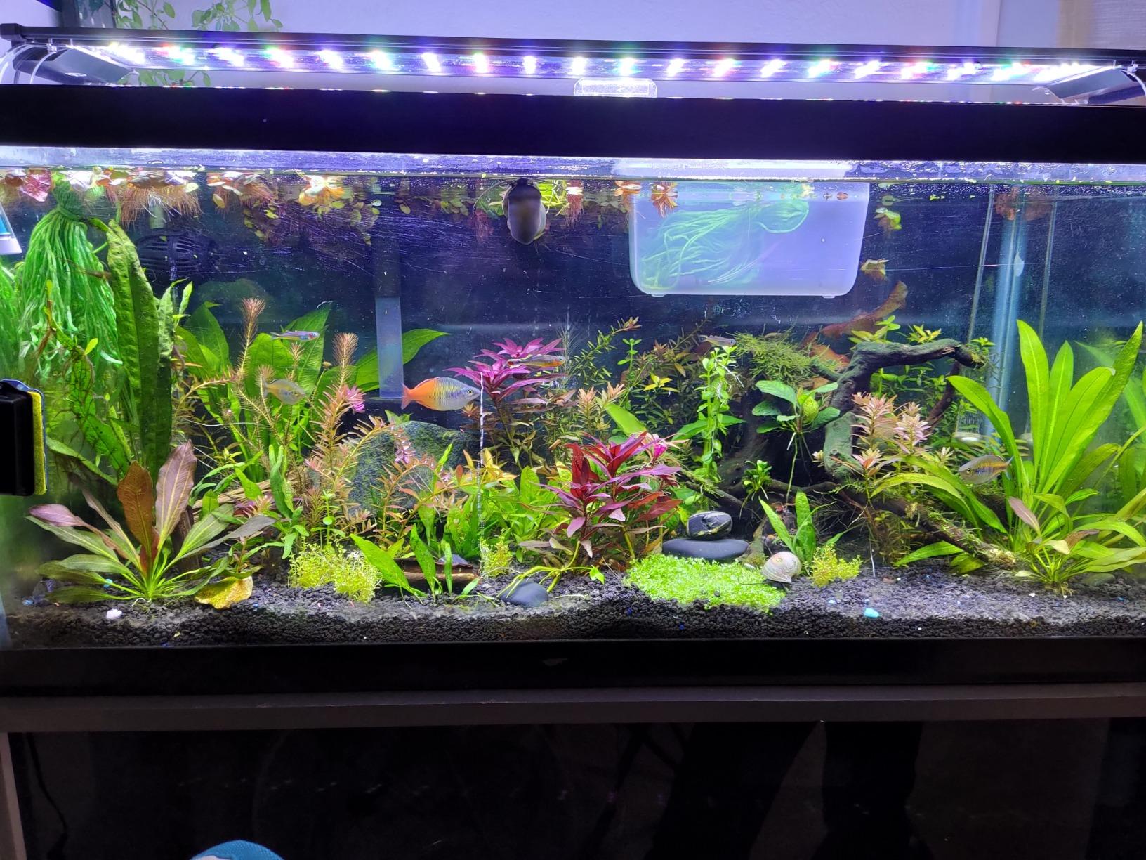 Fluval Sea CP2 Wave Maker Circulation Pump for Freshwater & Saltwater Aquariums customer photo 1