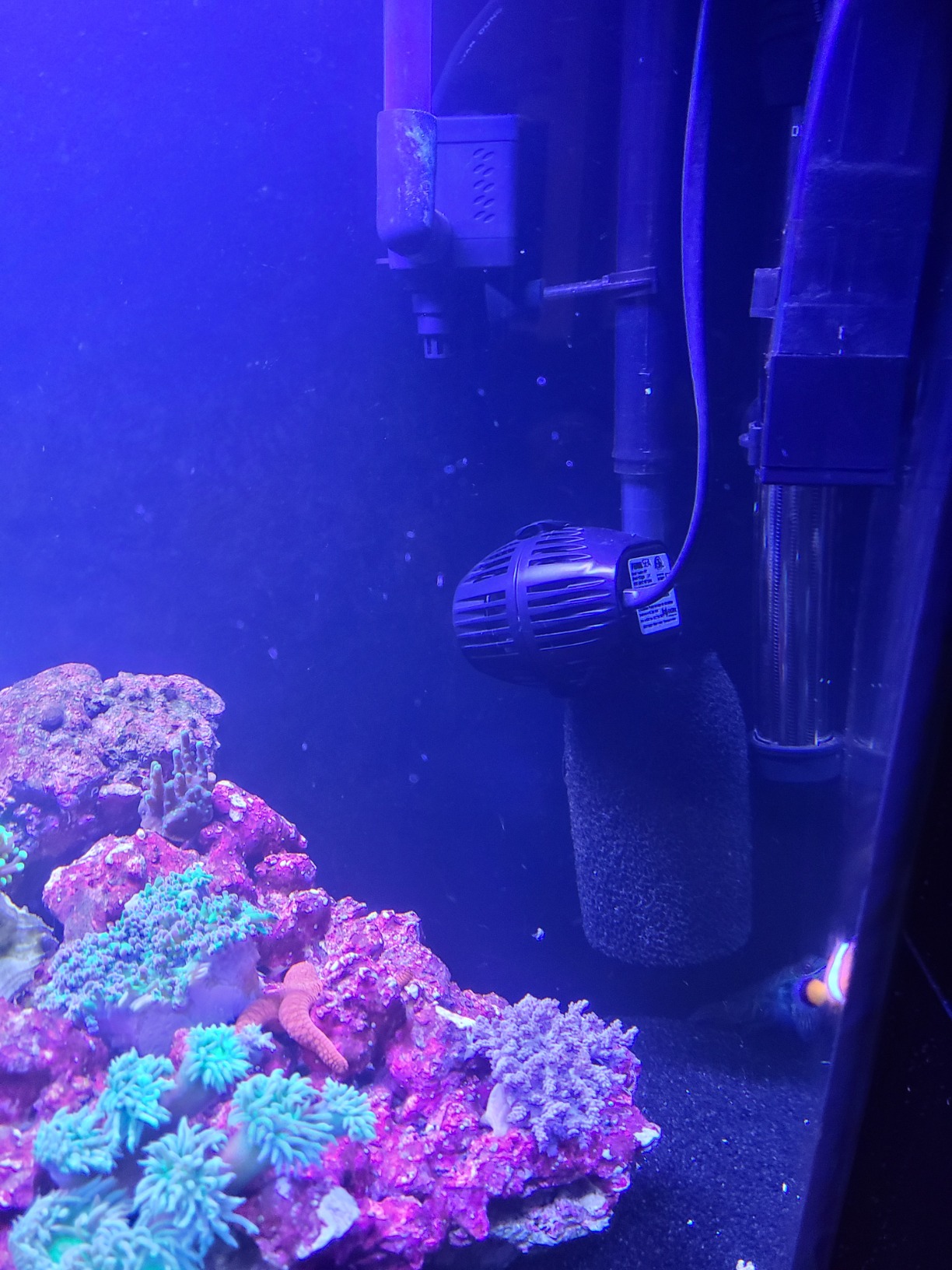 Fluval Sea CP2 Wave Maker Circulation Pump for Freshwater & Saltwater Aquariums customer photo 2