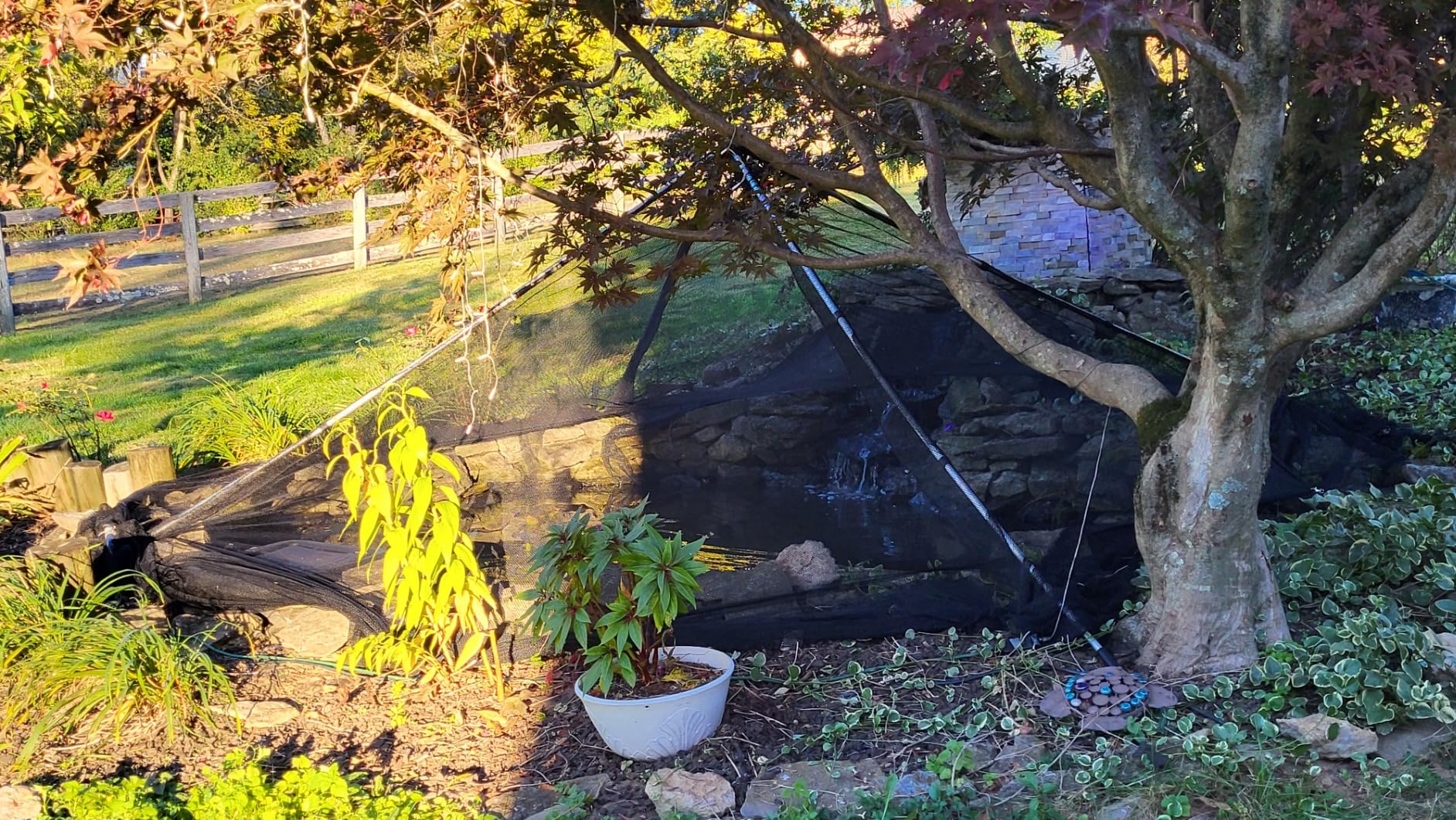 The Pond Guy PondShelter Cover Net, Outdoor Water Garden Enclosure, Mesh Debris Barrier for Leaves, Twigs & Sticks, Protect Koi & Fish from Predators 11' x 16' customer photo 2