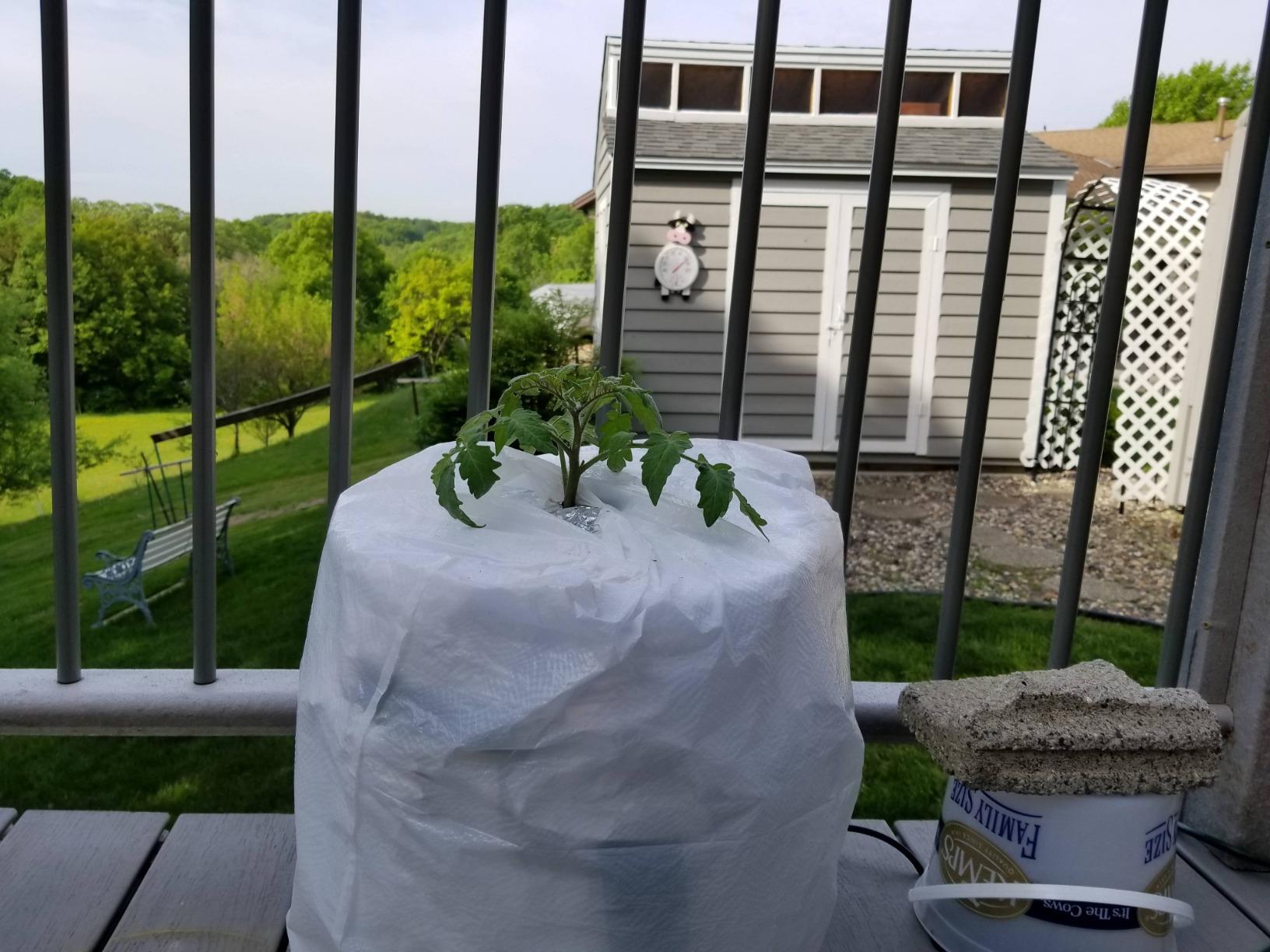 Deep Water Culture (DWC) Hydroponic Bubbler Bucket Kit by PowerGrow Systems - 4 x 5 Gallon 6-inch Buckets customer photo 2