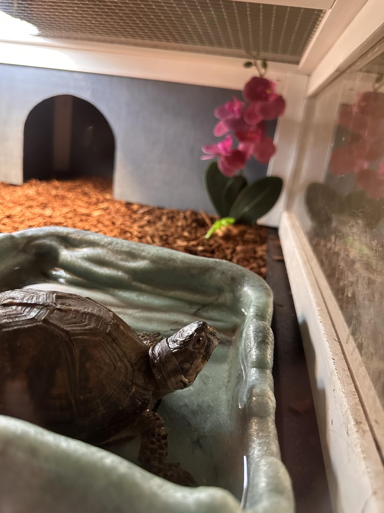Zoo Med - Lght KIT AQTURTLE HEATUVB customer photo 2