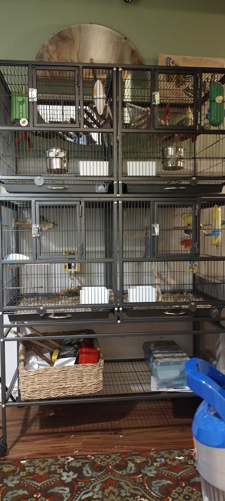 Prevue Pet Products Deluxe Divided Breeder Cage customer photo 1