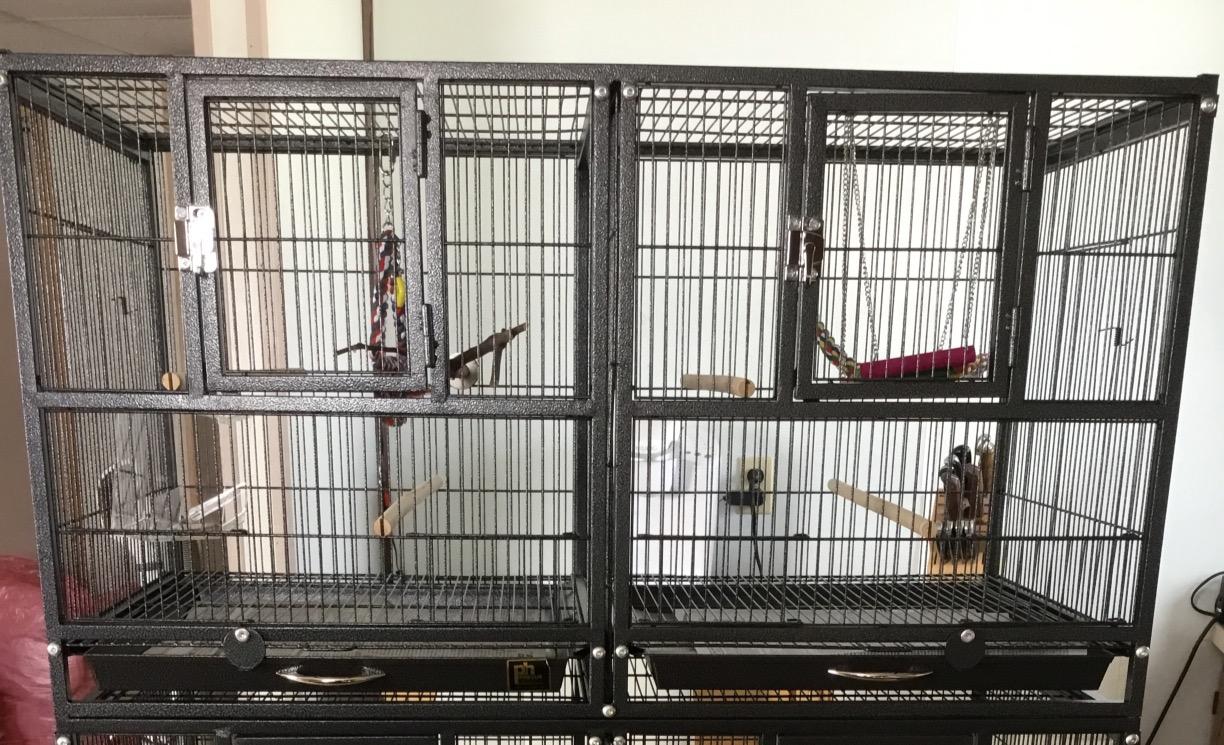 Prevue Pet Products Deluxe Divided Breeder Cage - Stackable Breeding Cage with Divider, Stand Alone Enclosure with Wooden Perches, Food and Water Cups, for Finches, Canaries, and Small Birds - Black customer photo 2
