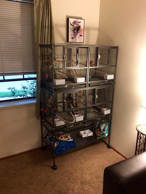 Prevue Pet Products Deluxe Divided Breeder Cage - Stackable Breeding Cage with Divider, Rolling Enclosure with Wooden Perches, Food and Water Cups, for Finches, Canaries, and Small Birds - Black customer photo 2