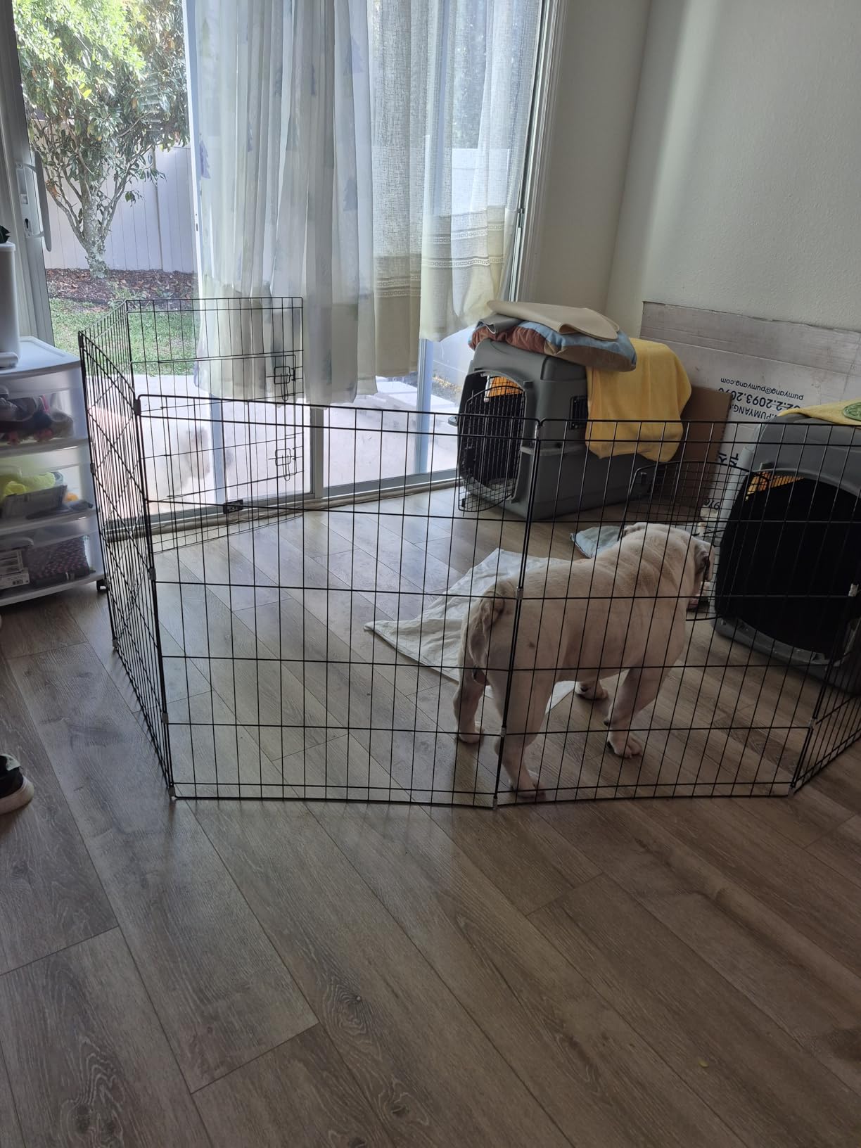 Puppy Playpen - Foldable Metal Exercise Enclosure with Eight 24-Inch Panels - Indoor/Outdoor Fence for Dogs, Cats, or Small Animals by PETMAKER customer photo 1