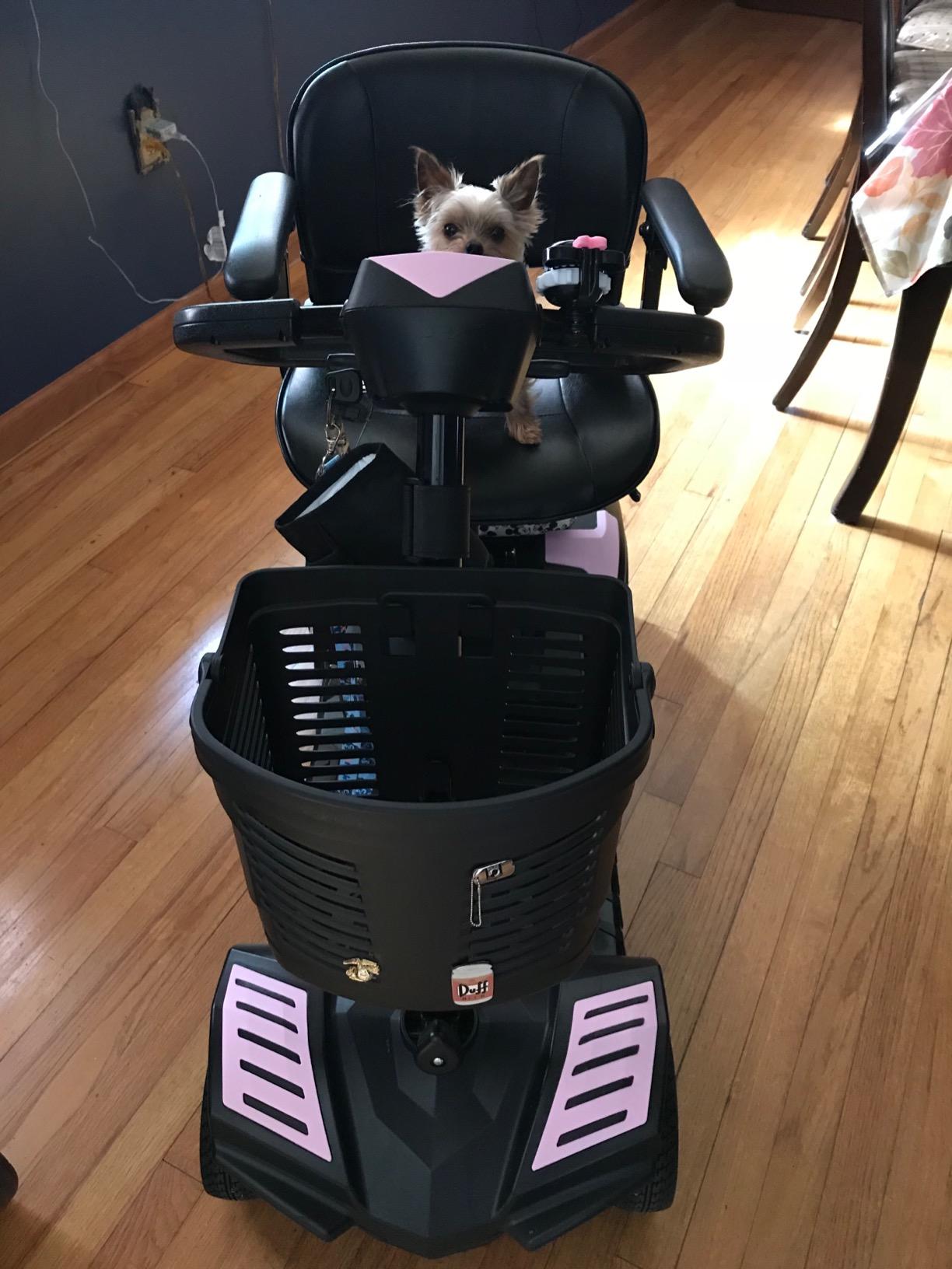 Drive Medical Scout Compact Travel Power Scooter, 4 Wheel customer photo 2