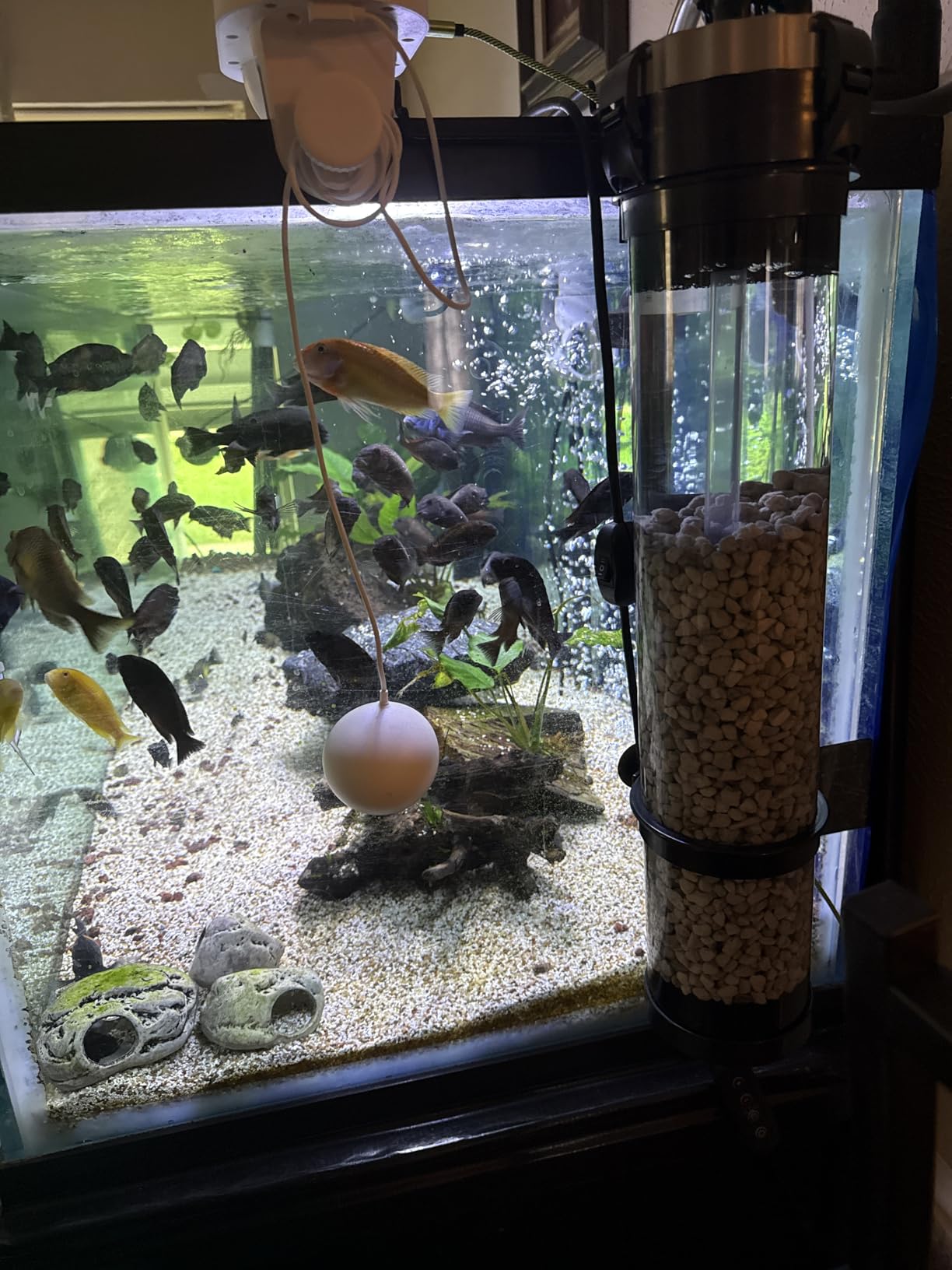 AQUATOP MR-30 Media Reactor - 152 GPH Up-Flow Filtration System - with Pump, Tubing & Mount - for Saltwater or Freshwater Aquariums - Sump or Hang-On Setup customer photo 2